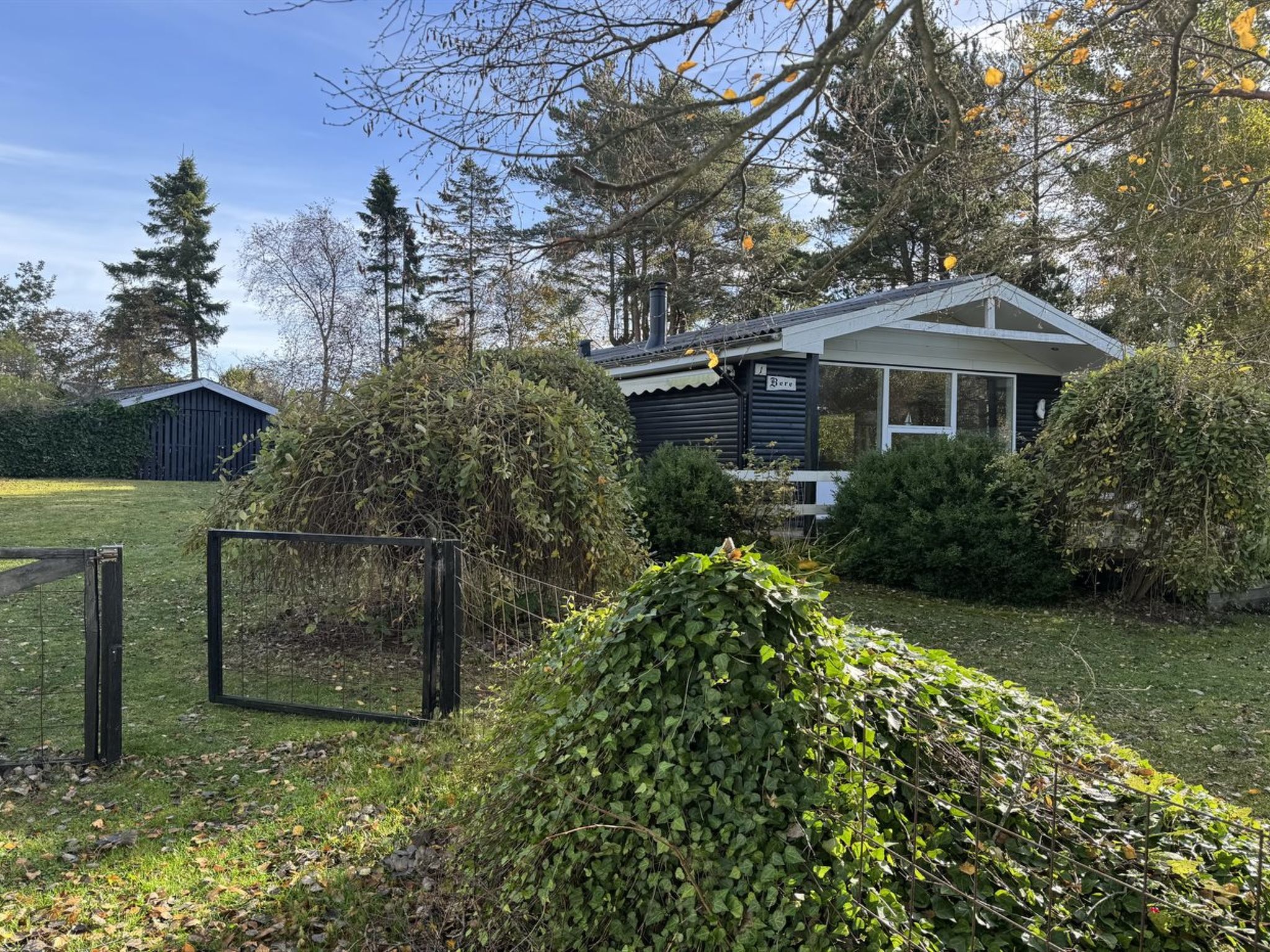 Photo of "Felicia" -  from the sea