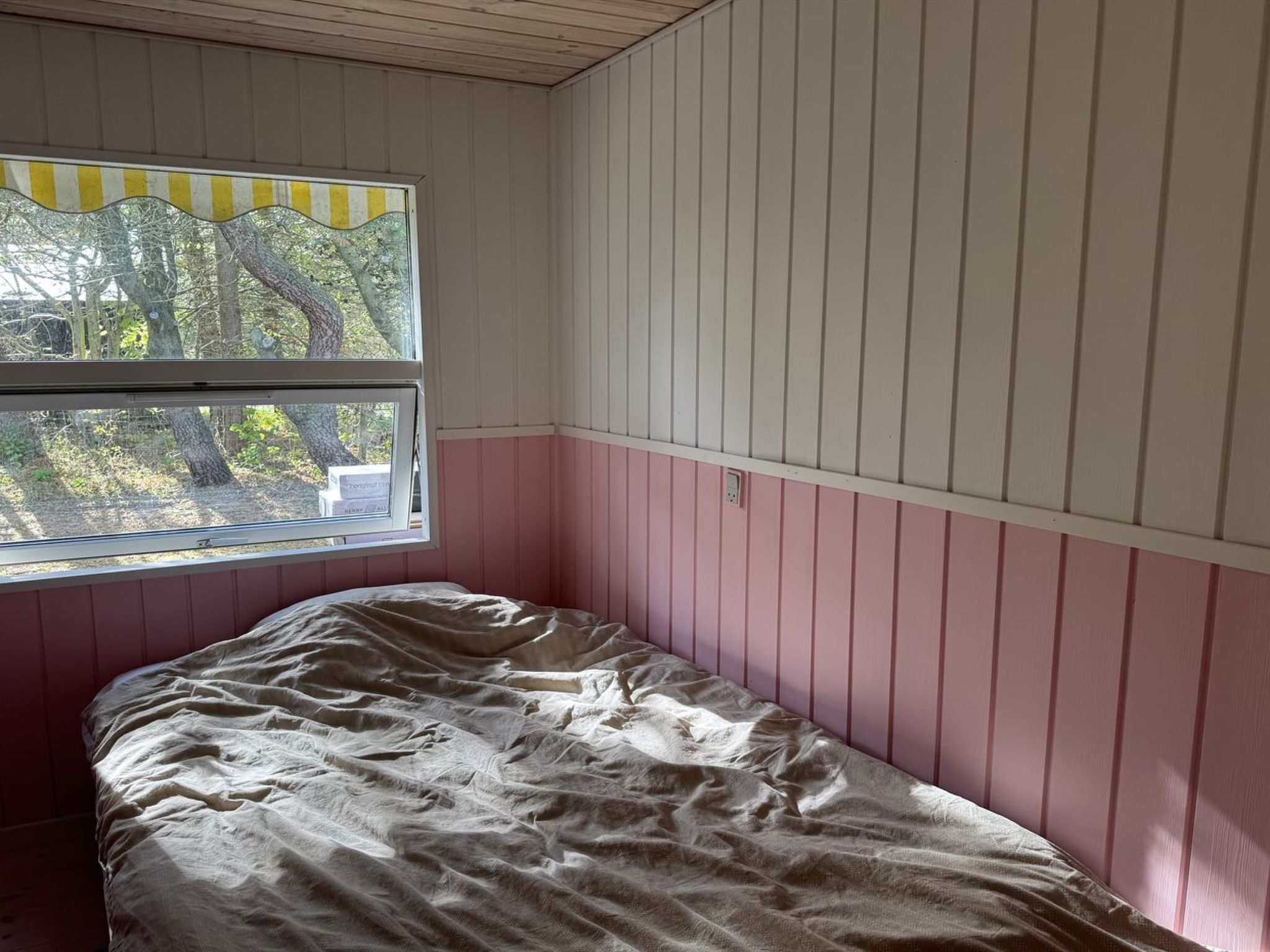 "Felicia" -  from the sea-Binnen