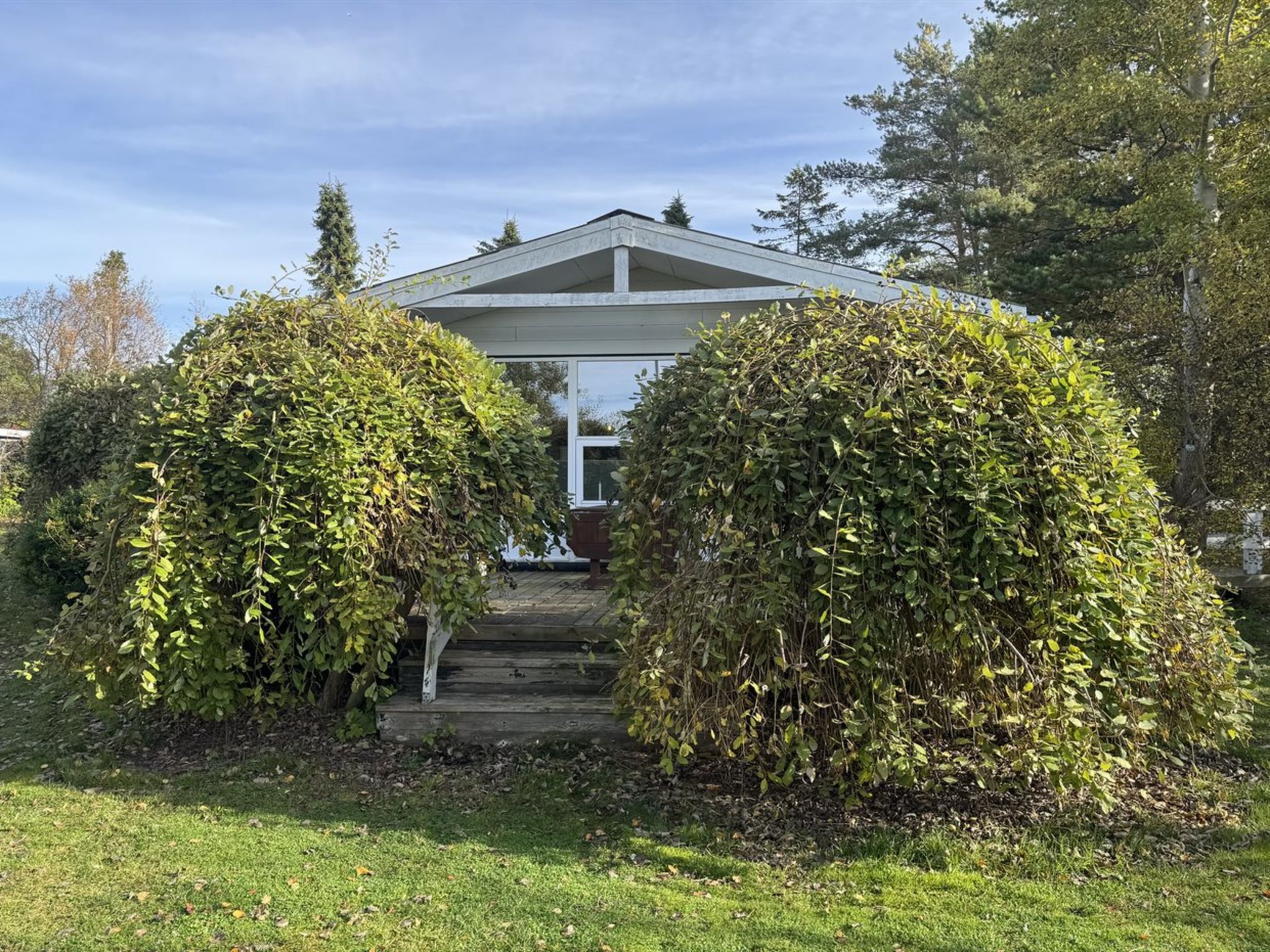 "Felicia" -  from the sea-Buiten