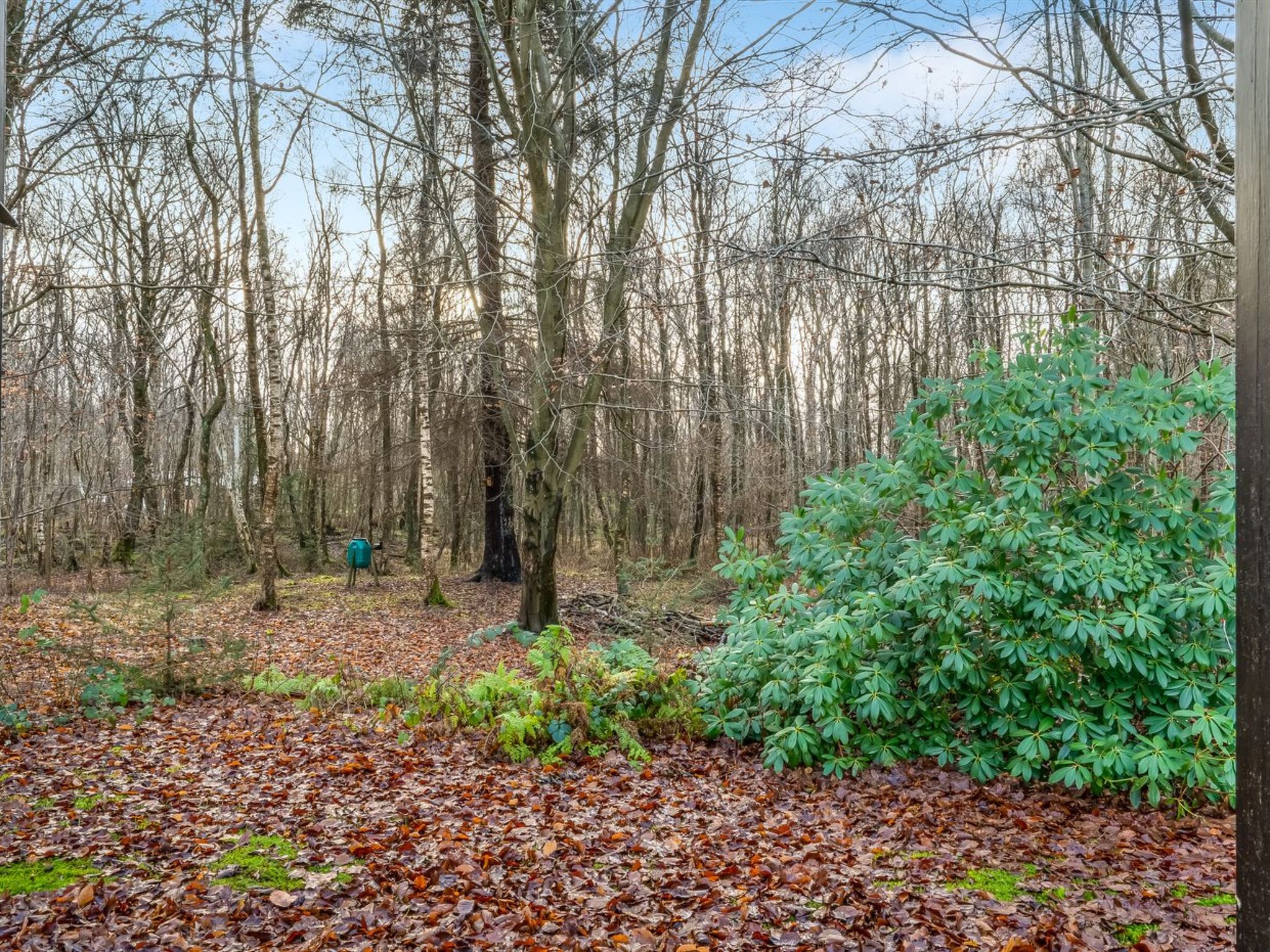 "Dreng" -  from the sea