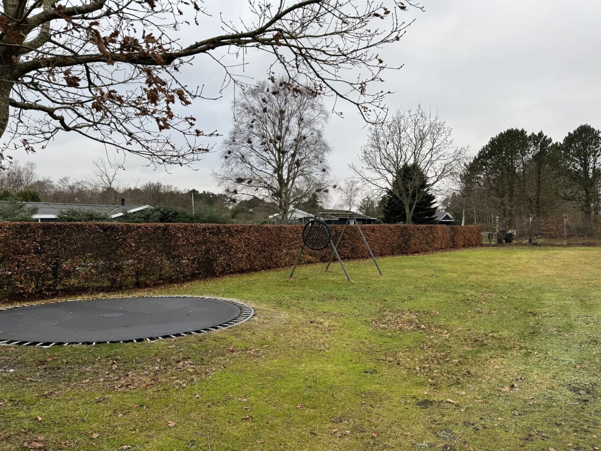 "Floora" -  from the sea