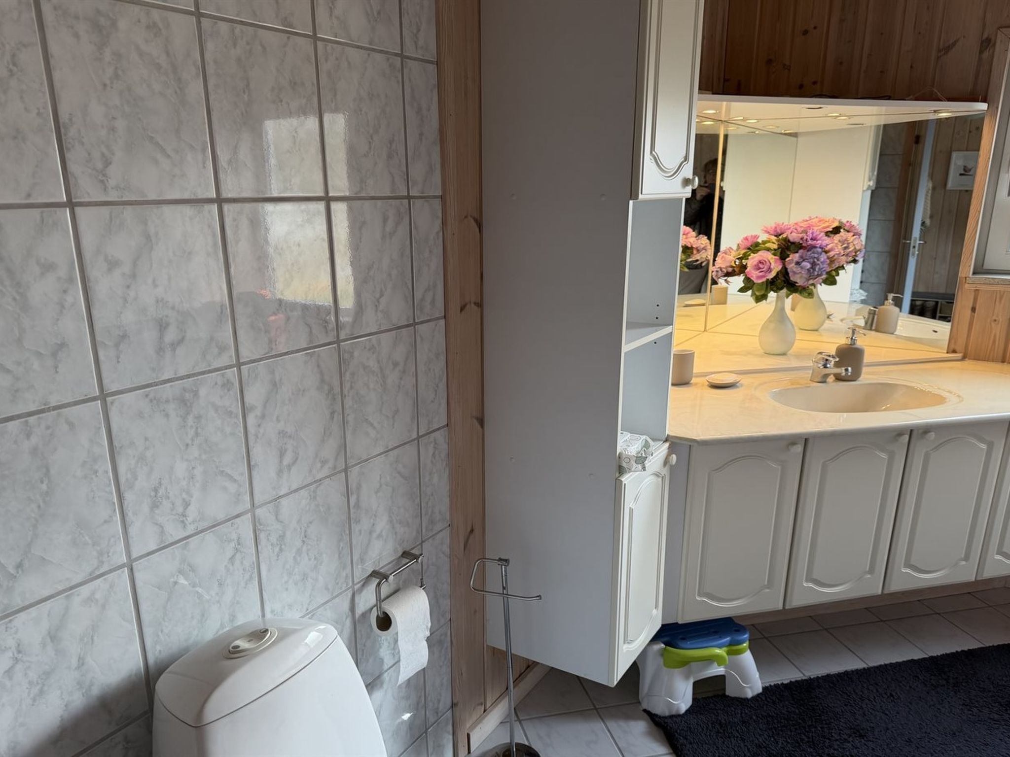 Photo of "Sys" -  from the sea