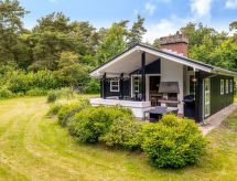 Vrijstaand vakantiehuis Ginette op 400 meter van de Limfjord - thumbnail 3