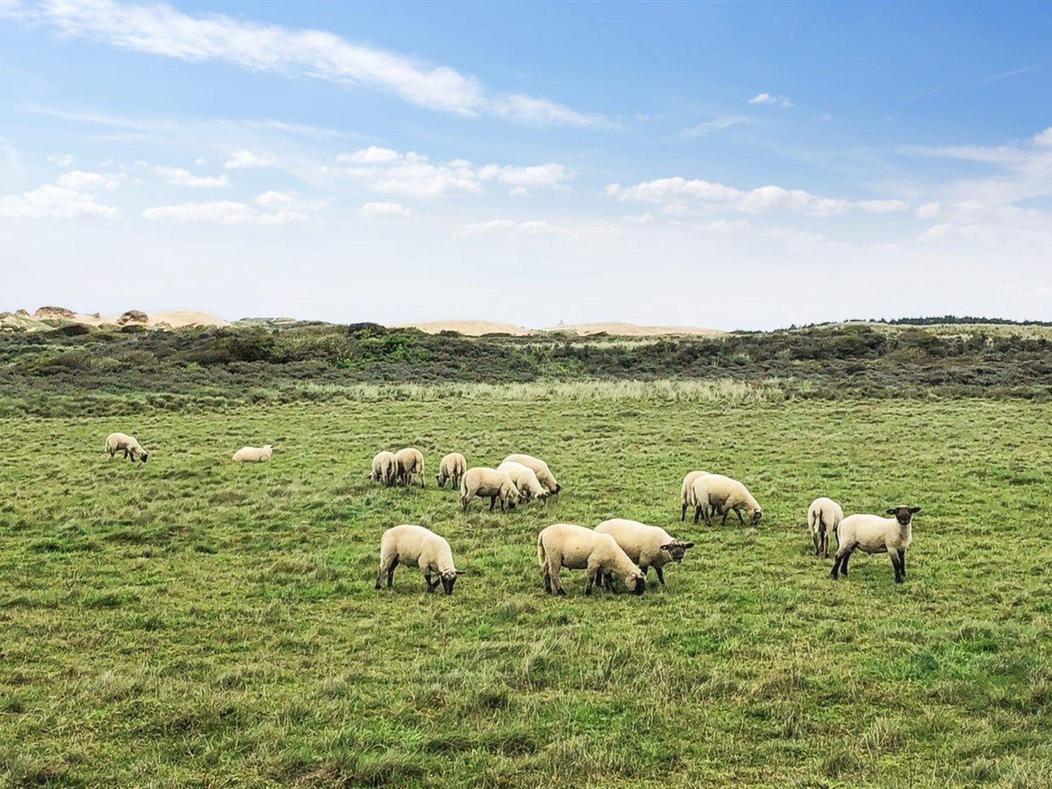 "Skyler" - 400m from the sea-Buiten