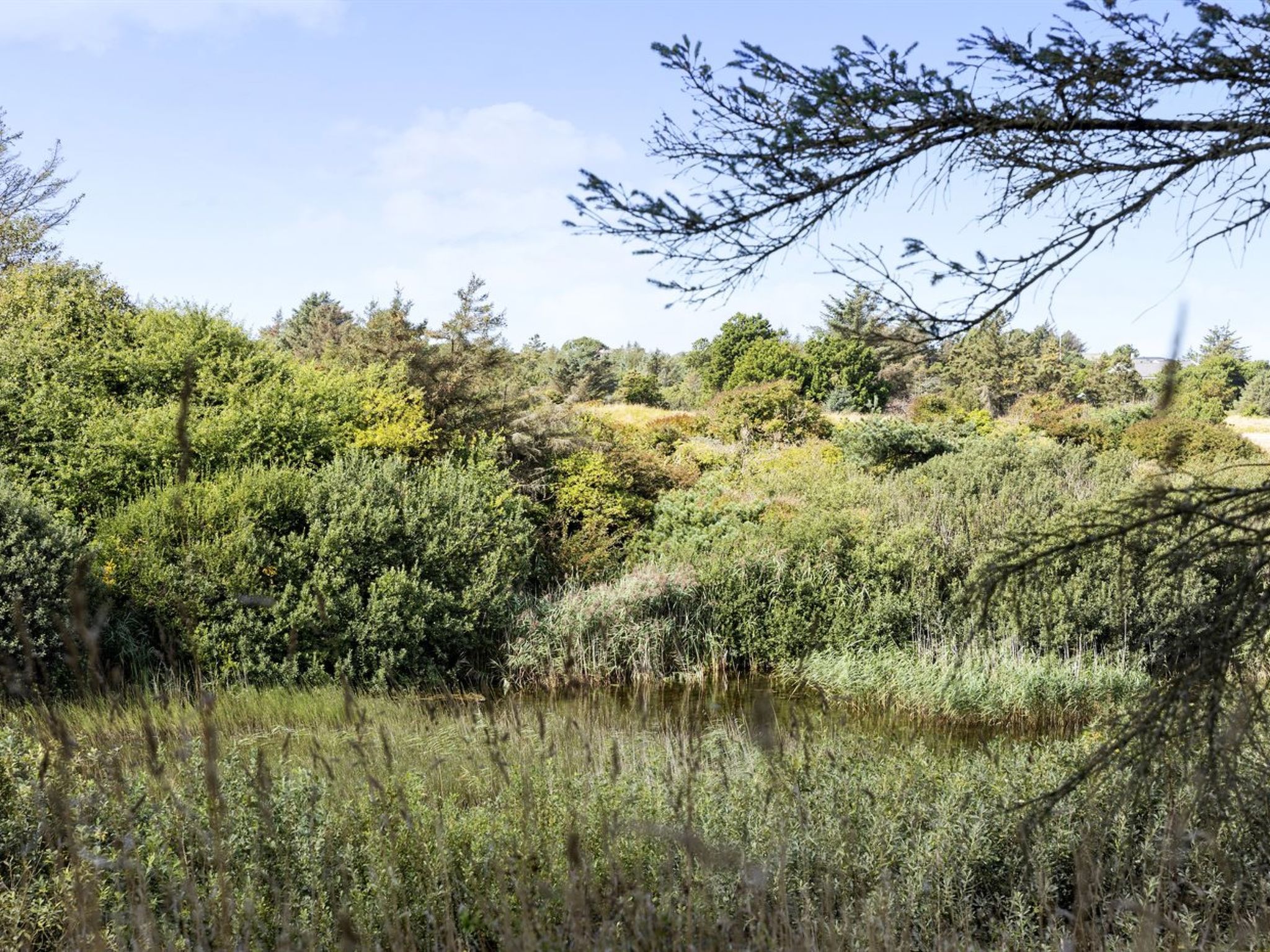 "Joris" - 1.5km from the sea-Dehors