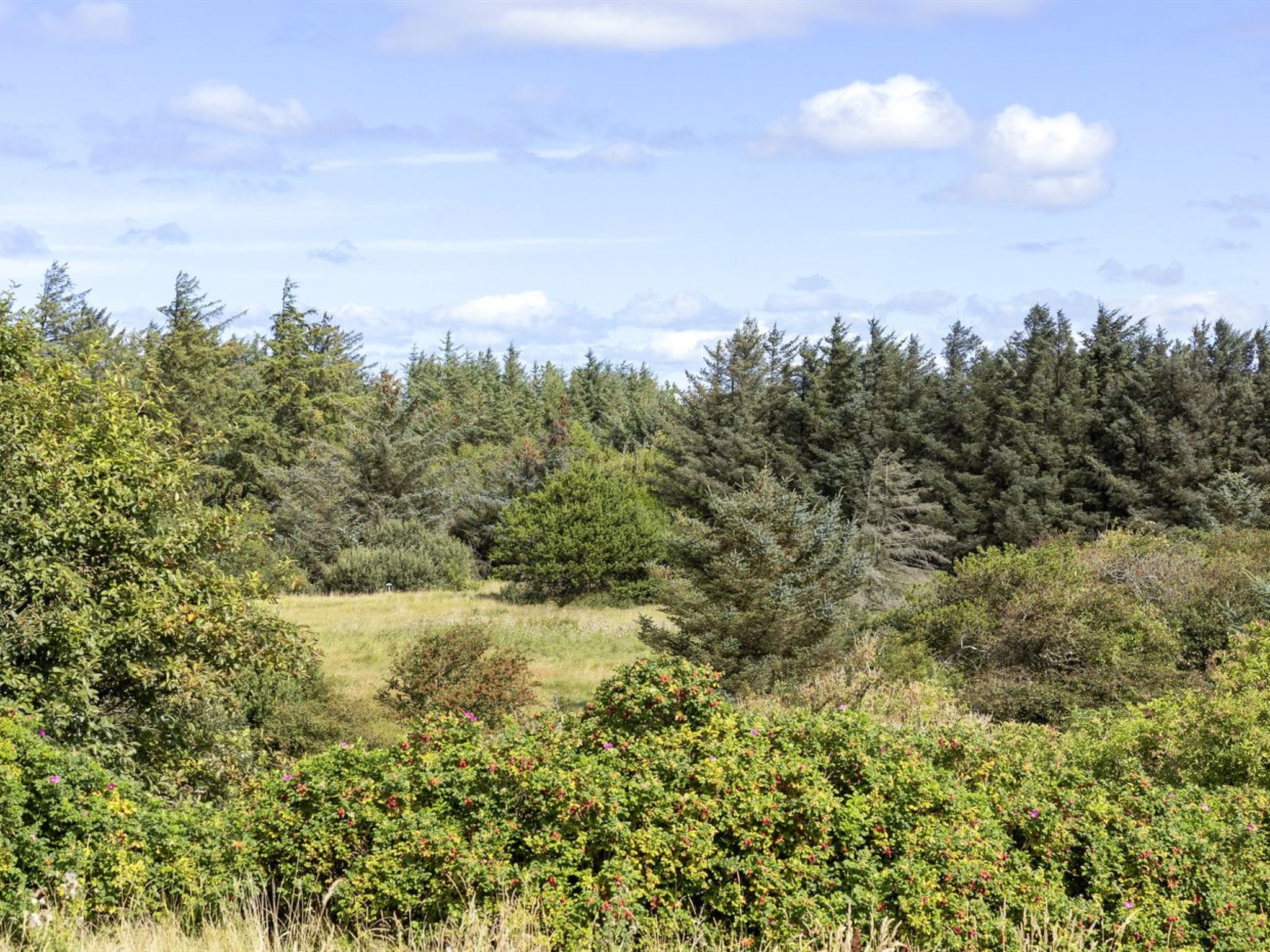"Joris" - 1.5km from the sea-Dehors