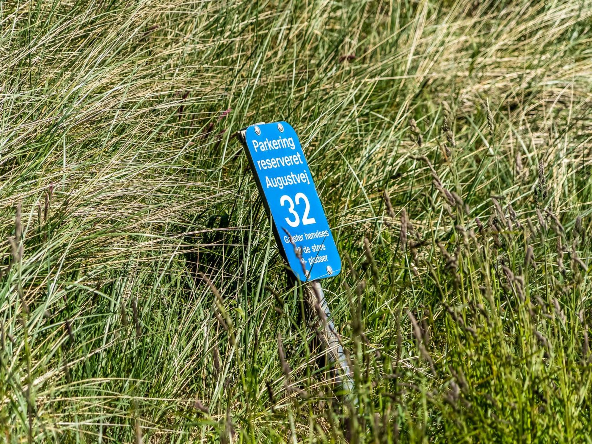 "Fatlinda" - 50m from the sea - Outside