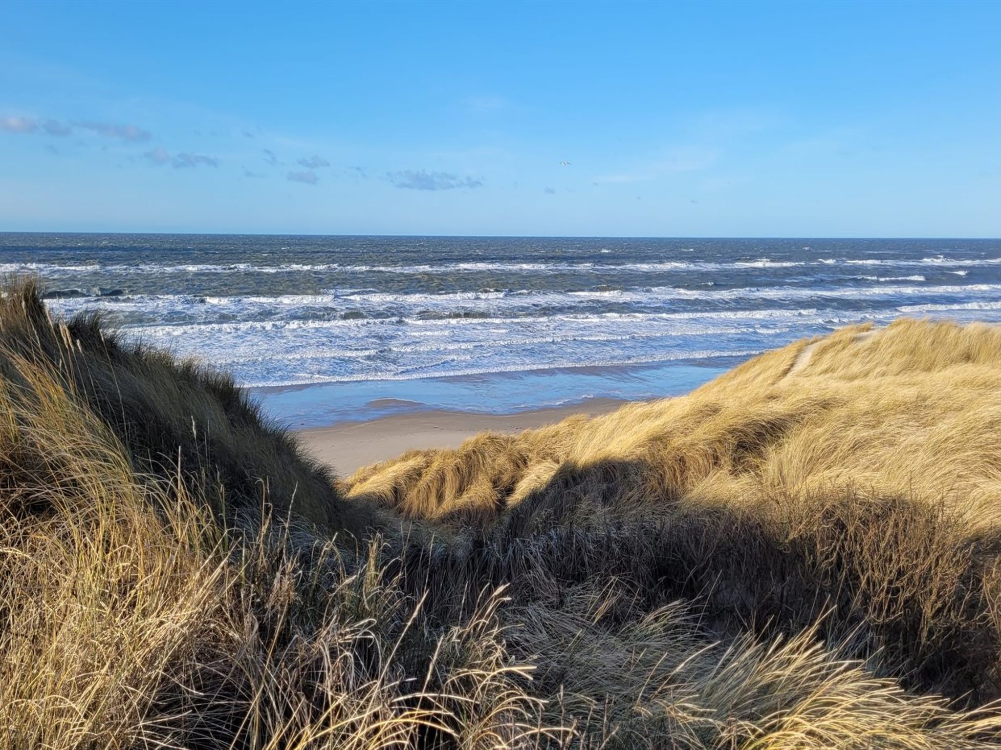 "Heralde" - 60m from the sea - Buiten