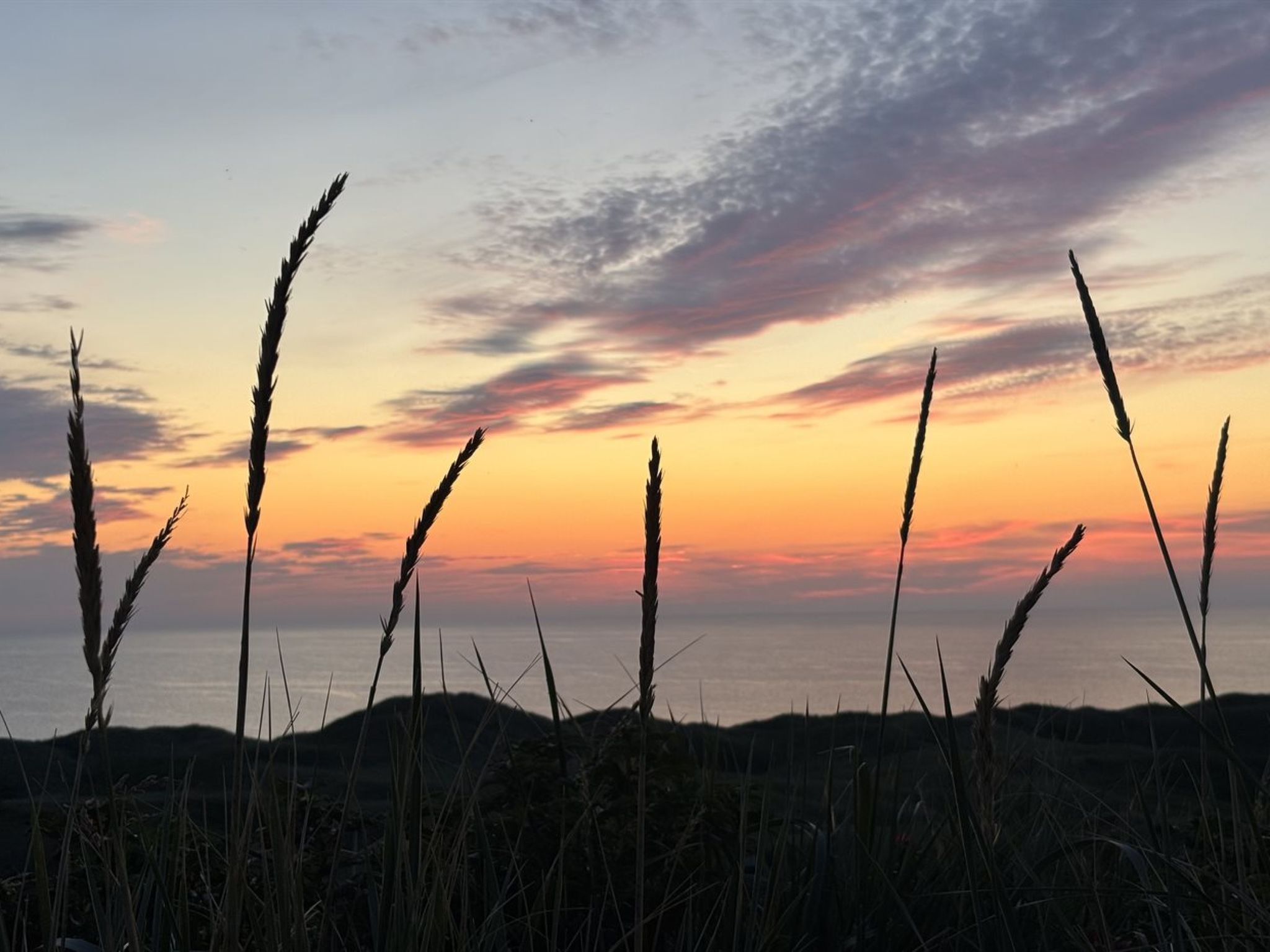 "Bjerund" - 300m from the sea-Outside