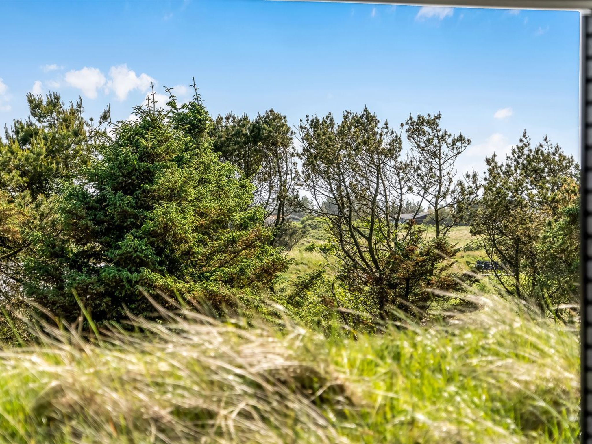 "Eriksine" - 750m from the sea-Buiten