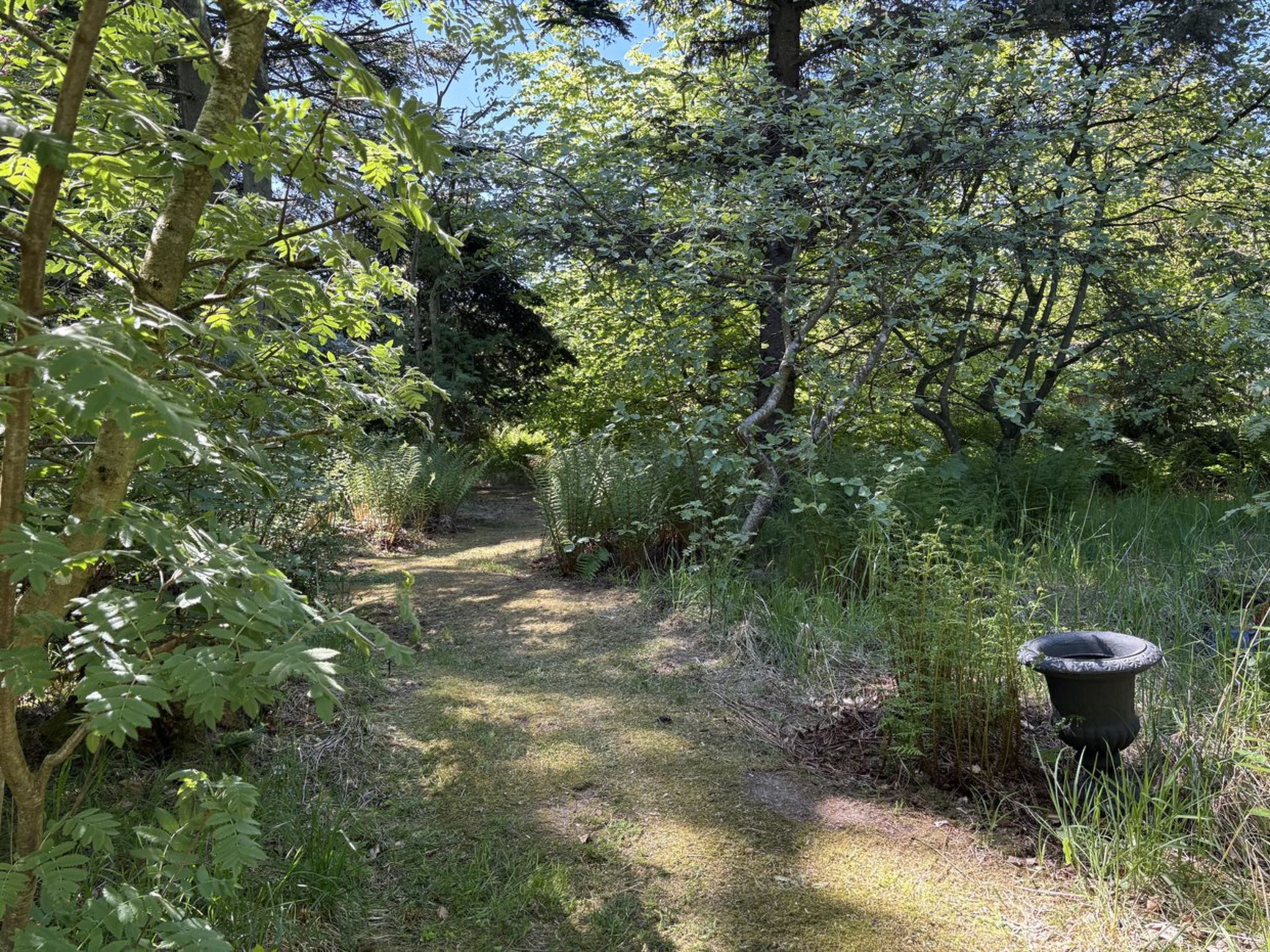 "Singa" - 1.5km from the sea-Buiten