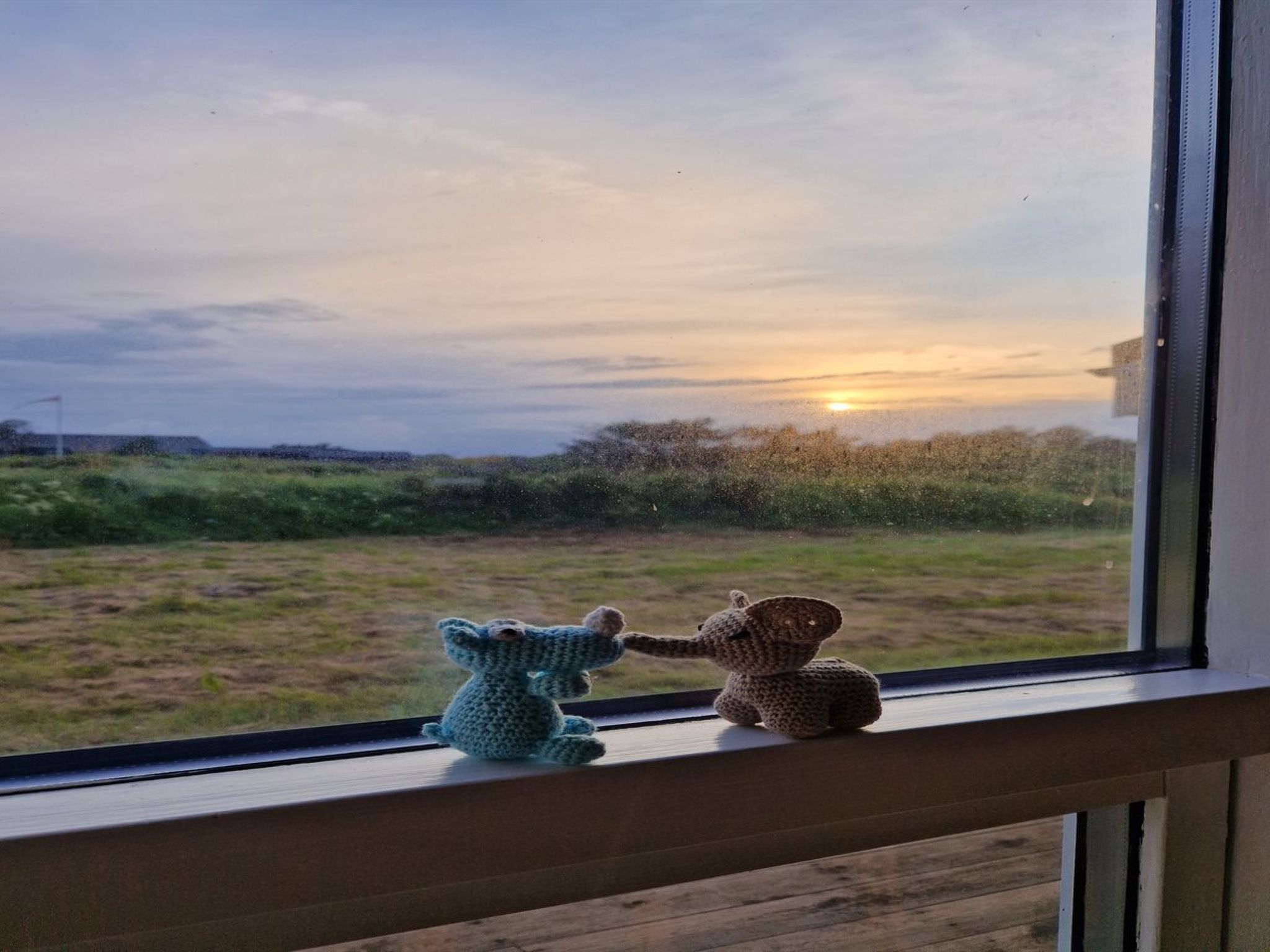 "Peder" - 700m from the sea