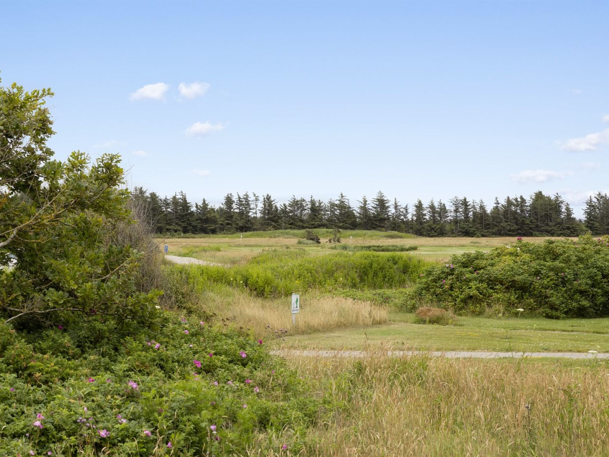 "Bruni" - 1km from the sea - Buiten