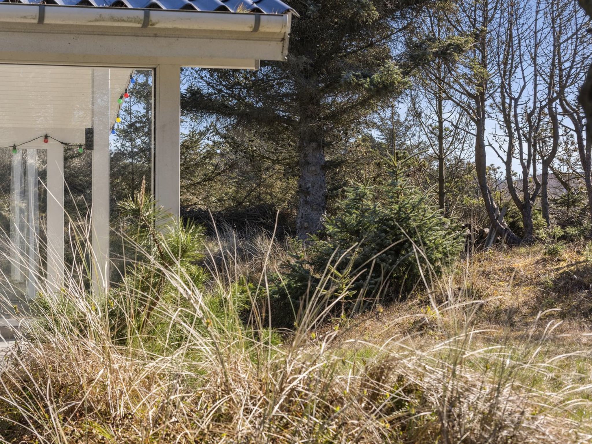 "Svante" - 300m from the sea — House (4 of 23)