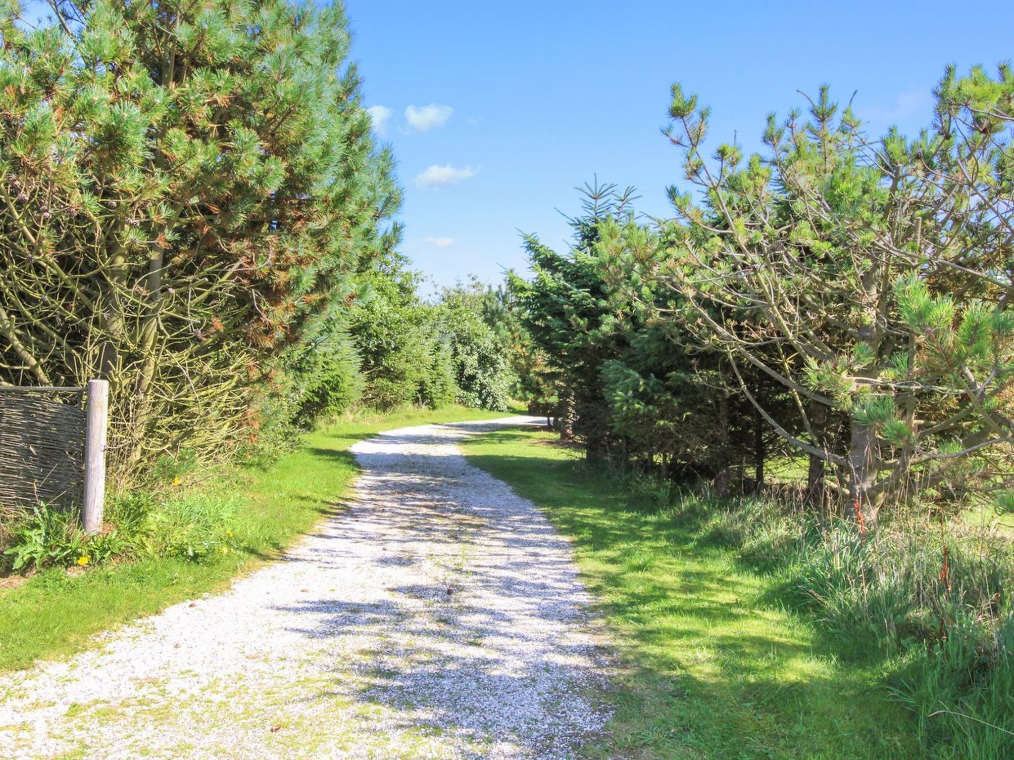 "Ilya" - 900m from the sea - Outside