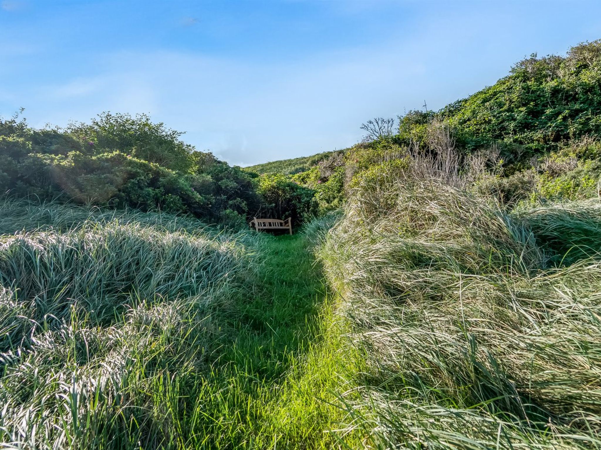 "Ineke" - 295m from the sea - Buiten