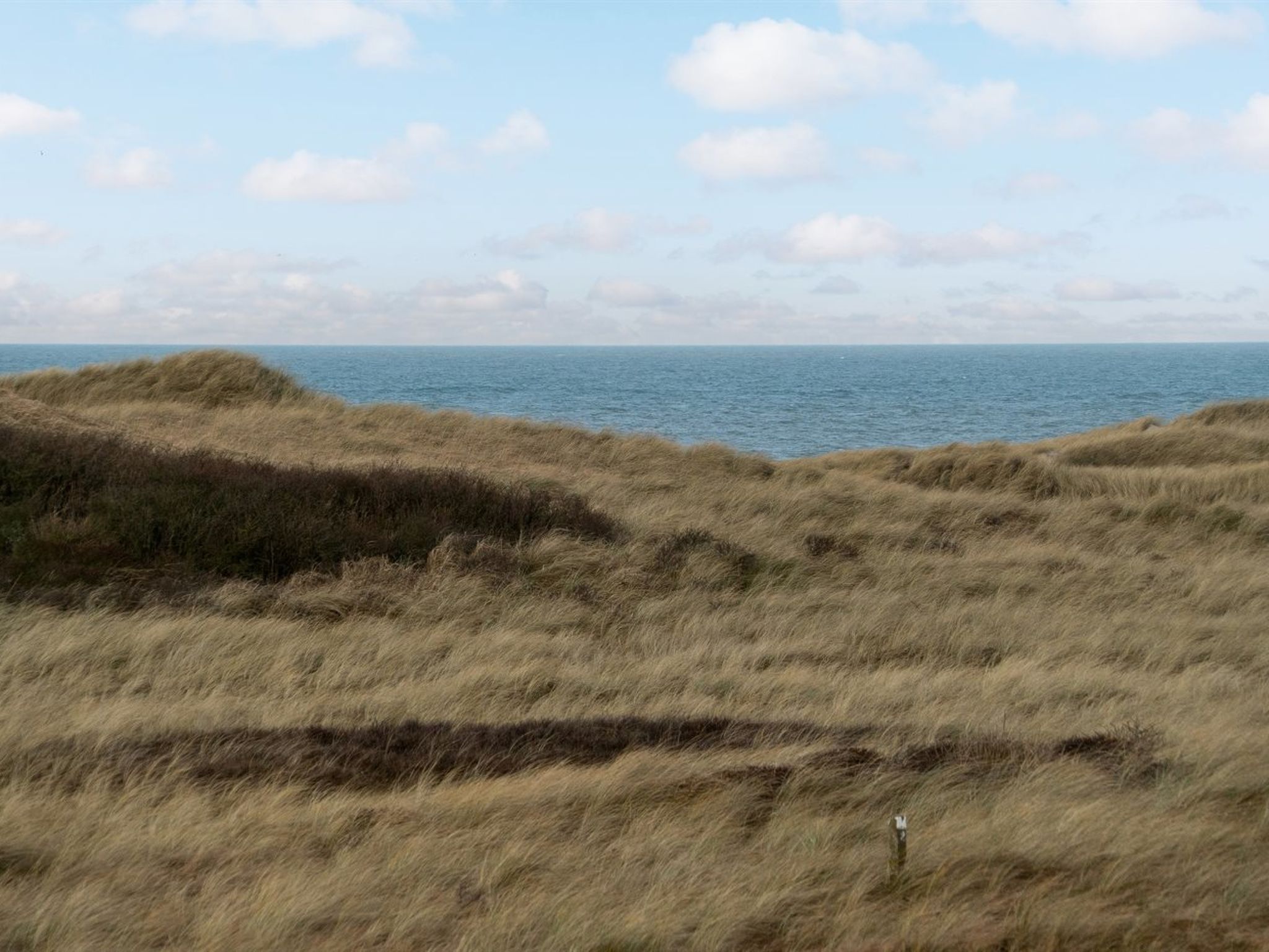 "Kalina" - 150m from the sea-Buiten