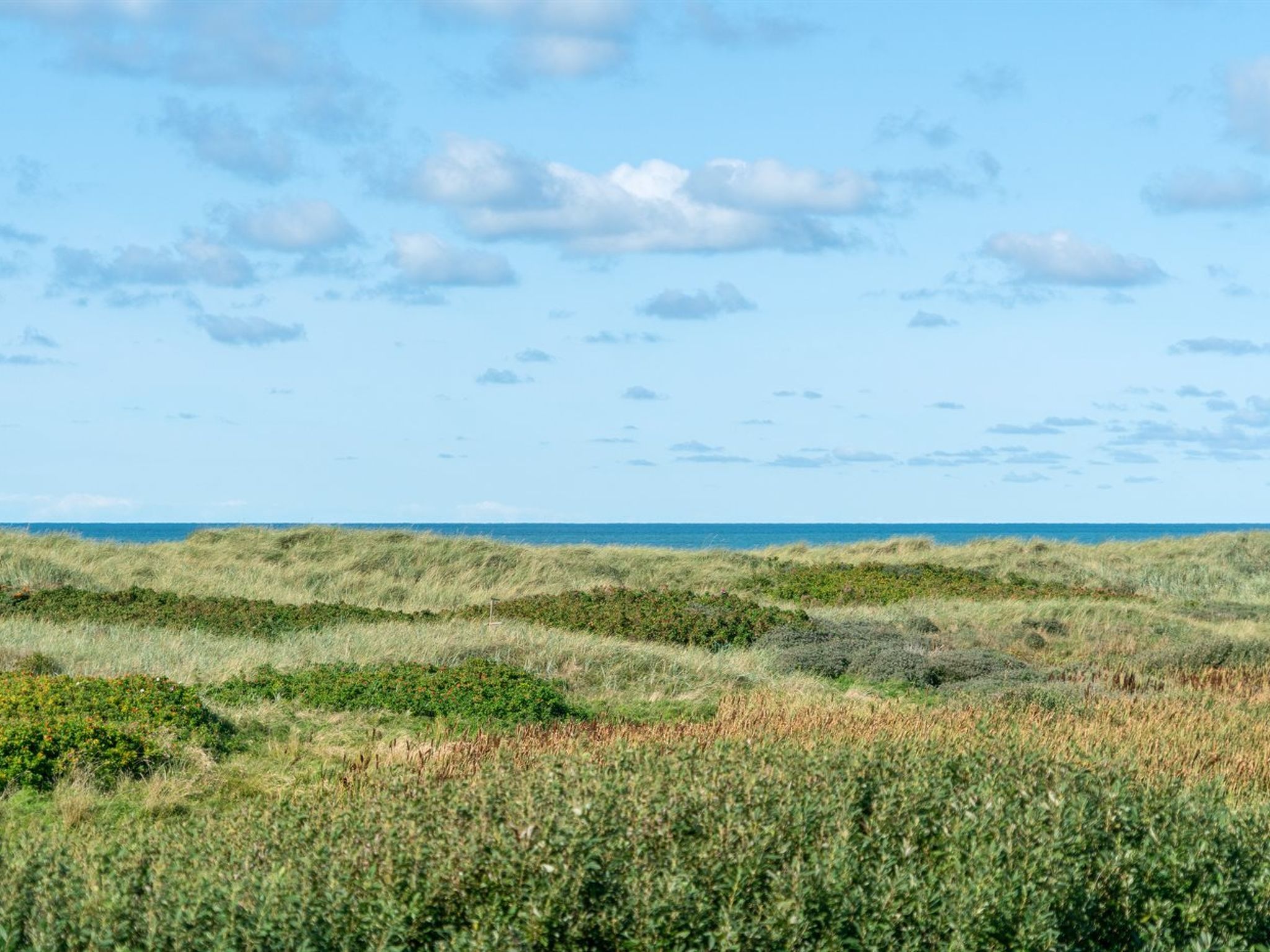 "Anne" - 100m from the sea