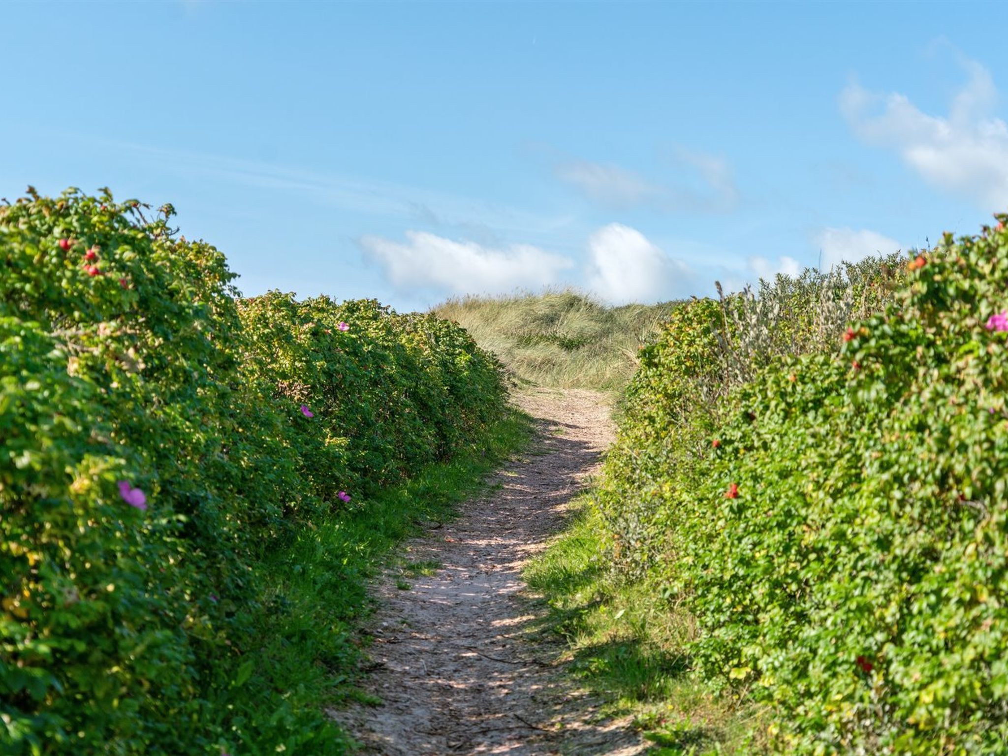 "Anne" - 100m from the sea