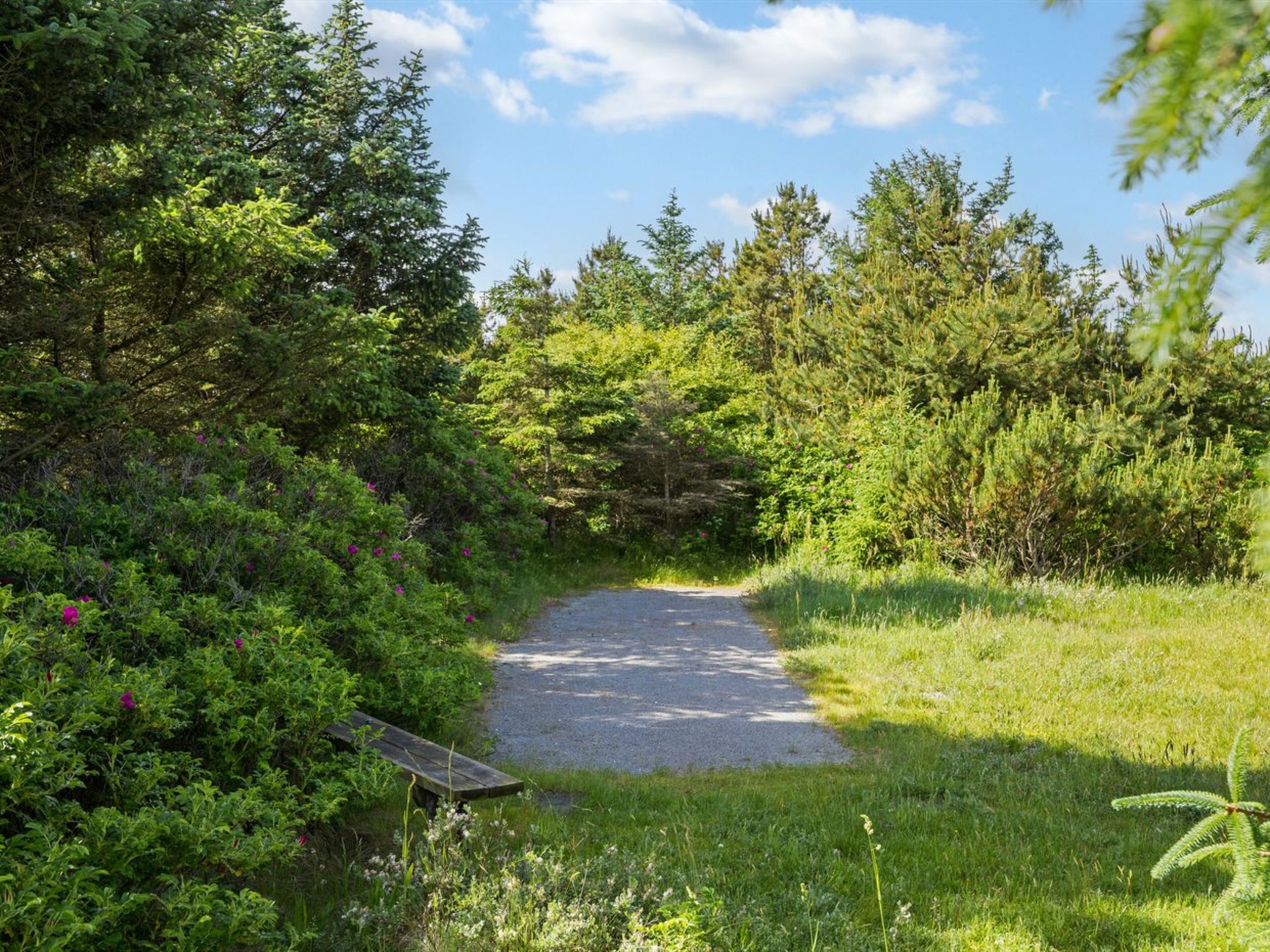 "Harthagunni" - 375m from the sea - Buiten