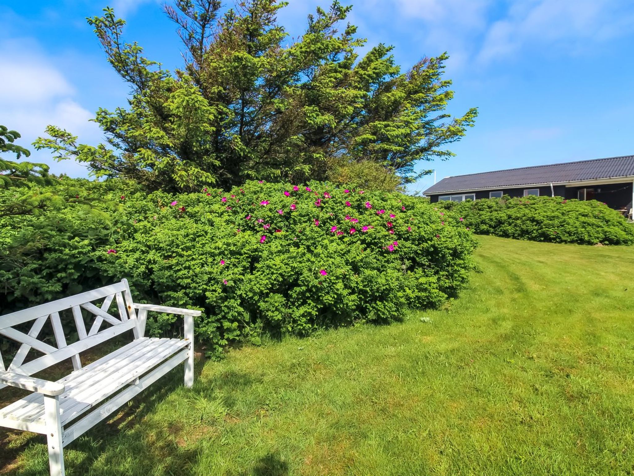 "Violeta" - 250m from the sea - Buiten
