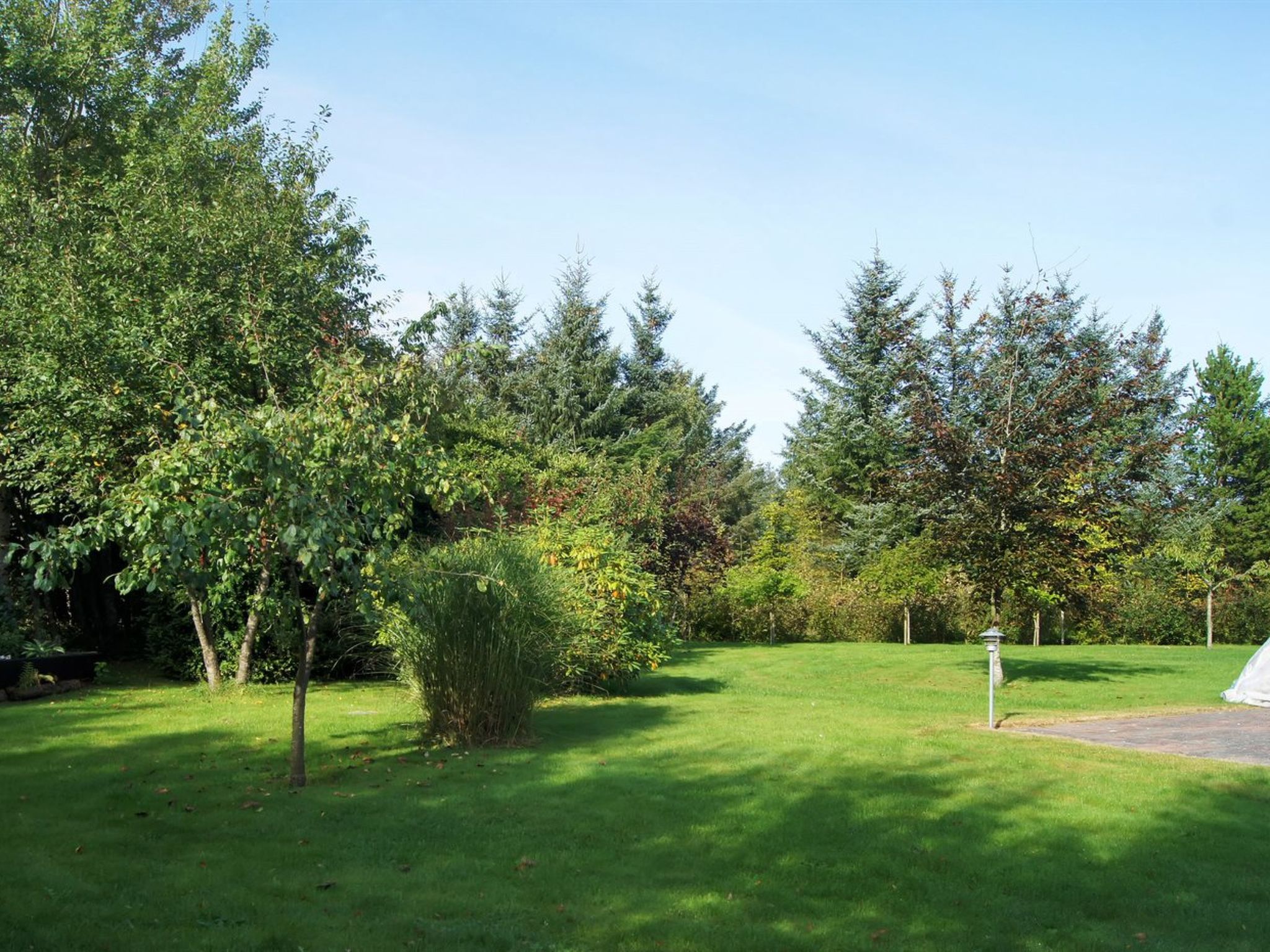 "Antonella" - 850m from the sea - Buiten