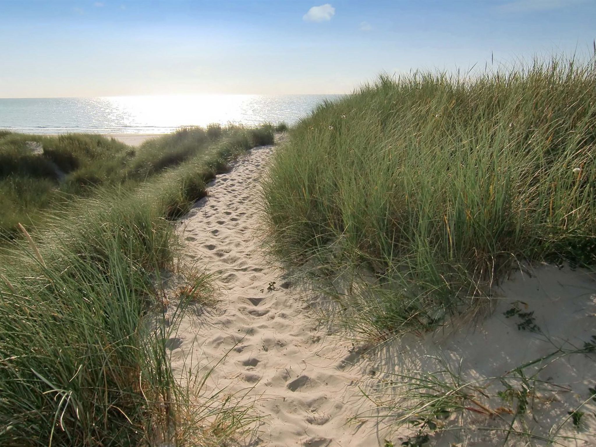 "Thythulf" - 550m from the sea - Draußen