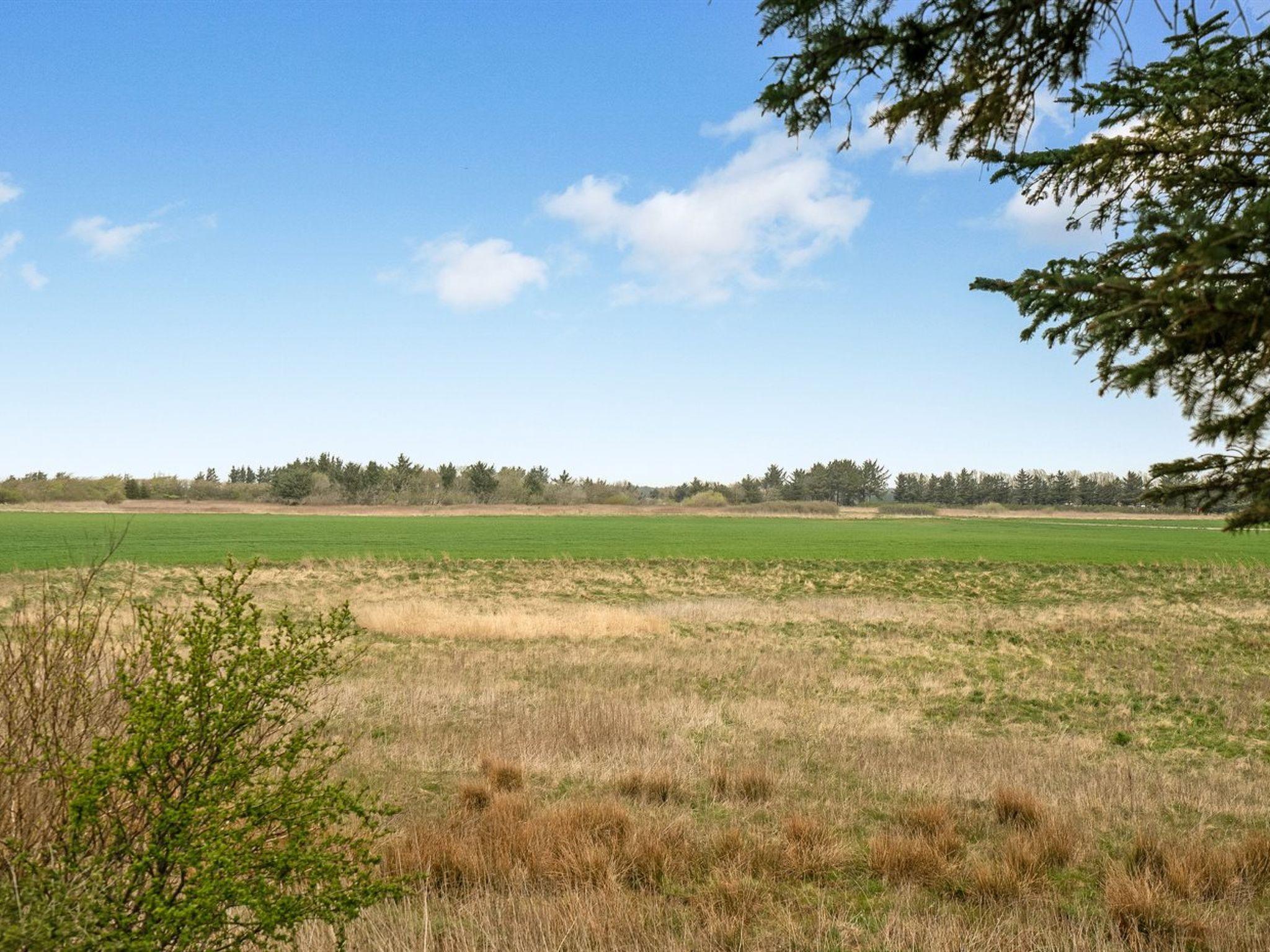 "Harri" - 850m from the sea - Draußen