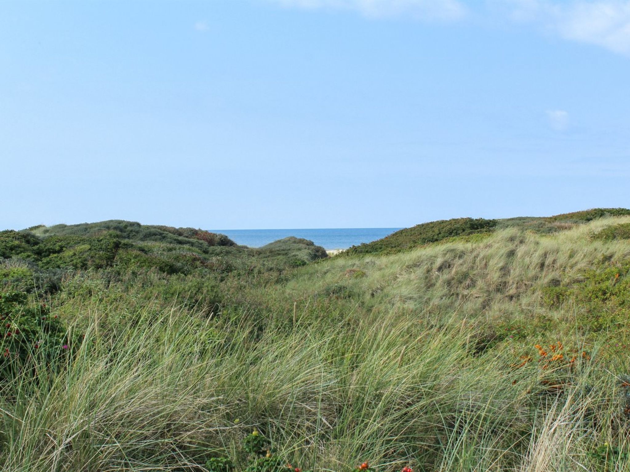 "Eunike" - 220m from the sea - Buiten