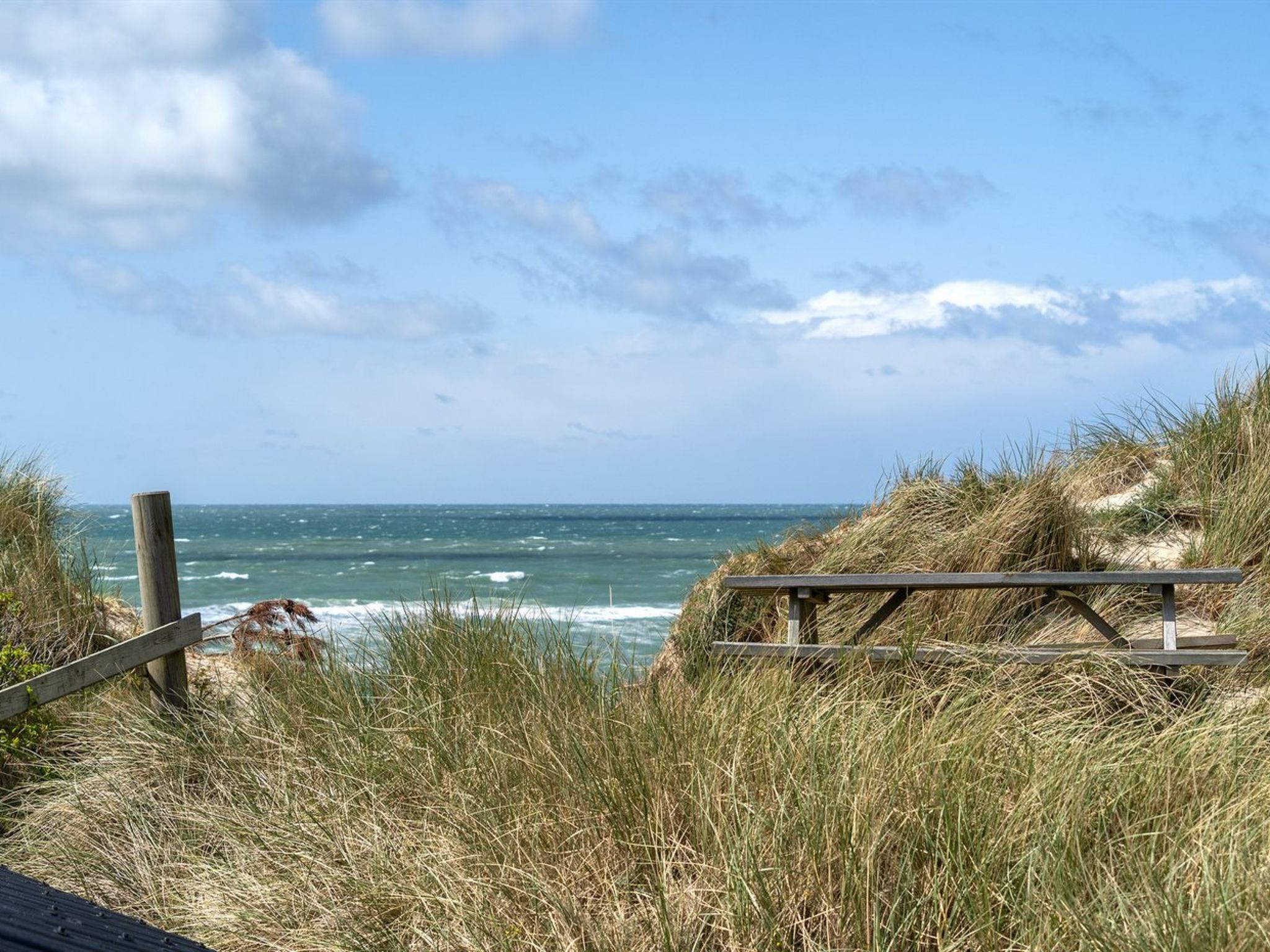 "Abbie" - 10m from the sea