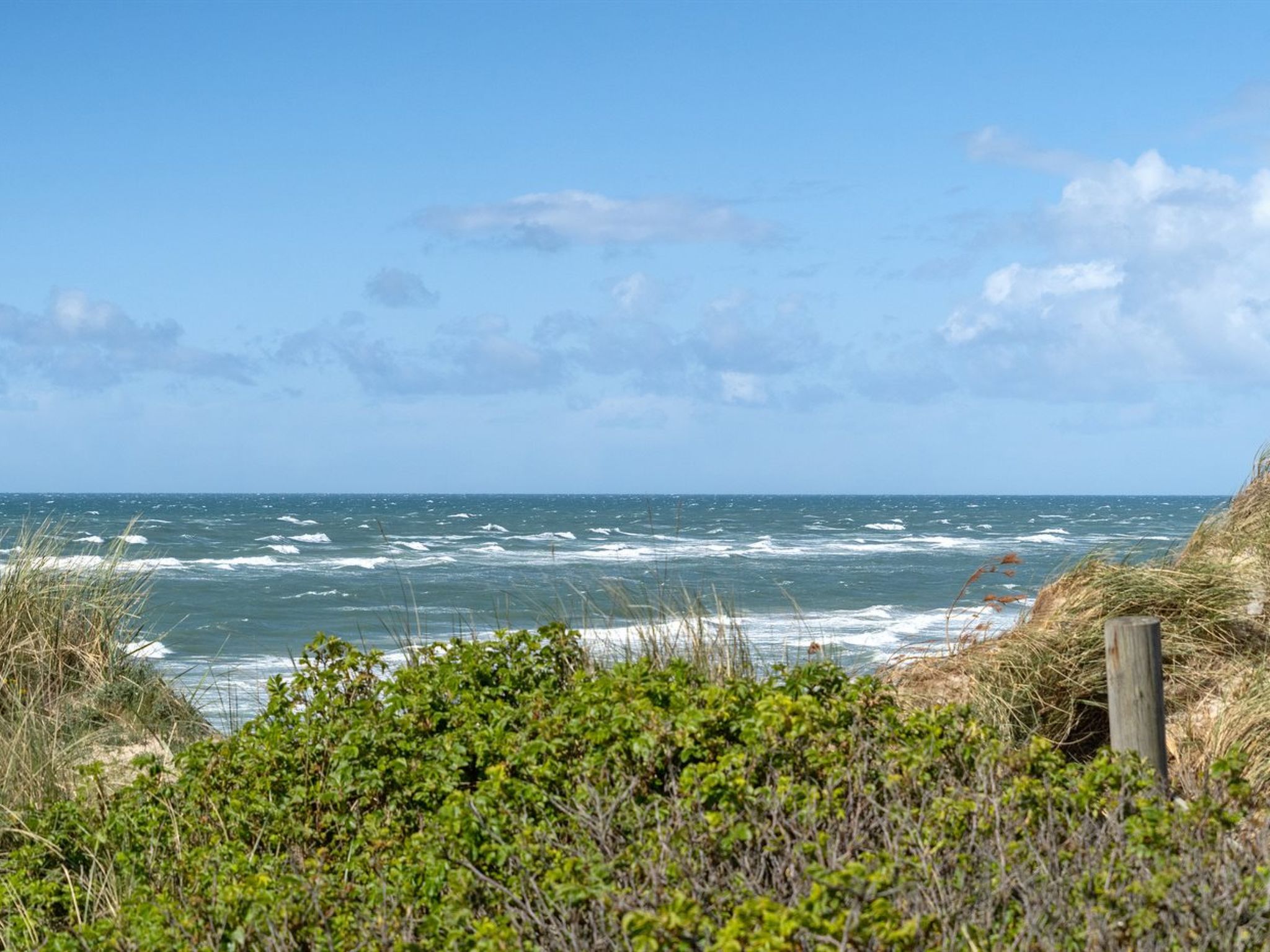 "Abbie" - 10m from the sea - Draußen