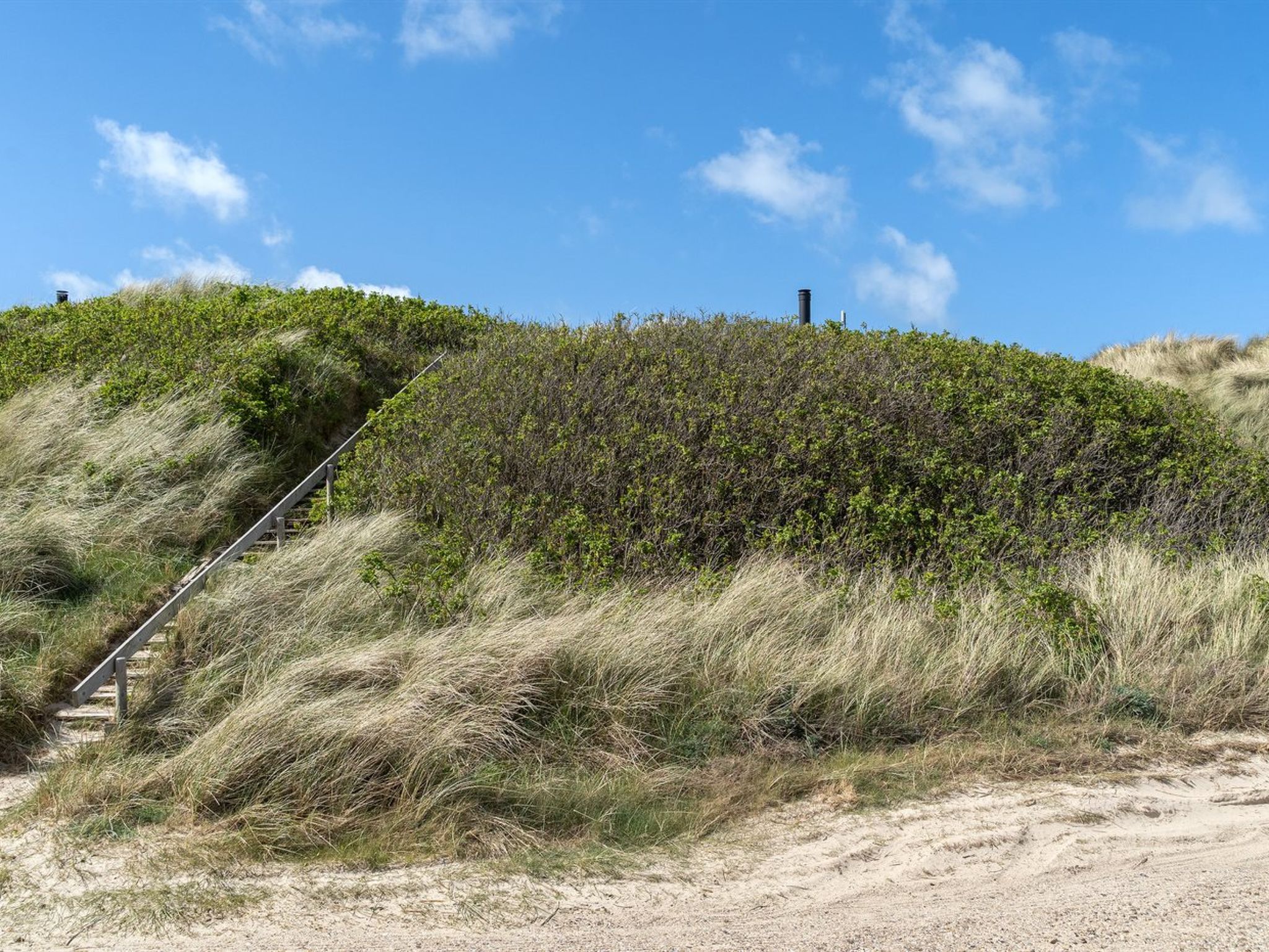 "Abbie" - 10m from the sea - Draußen