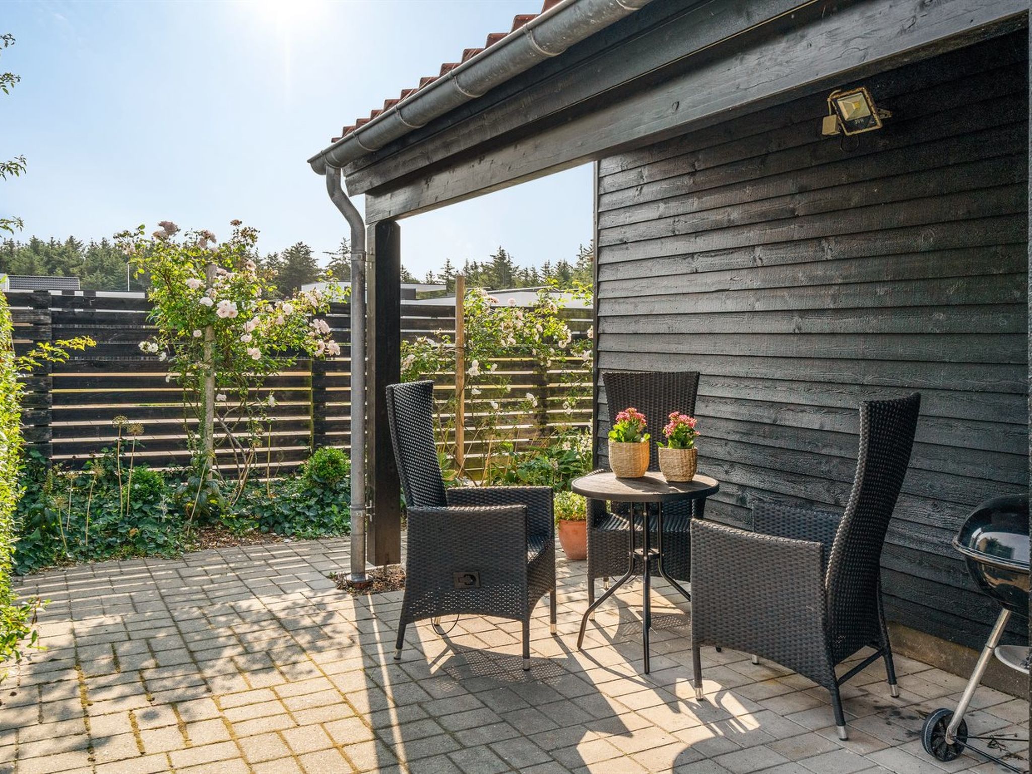 "Pelagija" - 900m from the sea — Terrace (5 of 29)