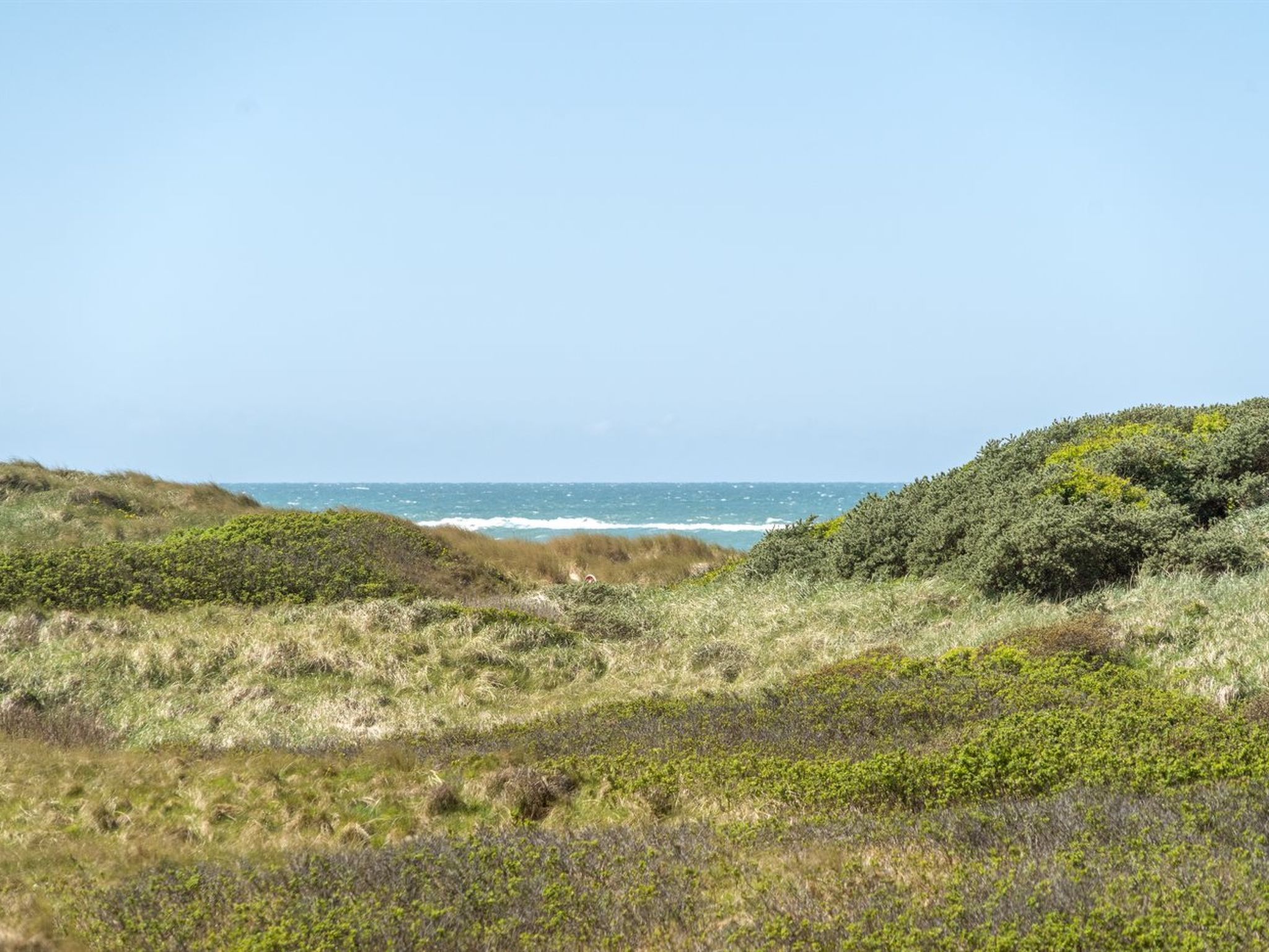 "Ecaterina" - 100m from the sea-Draußen