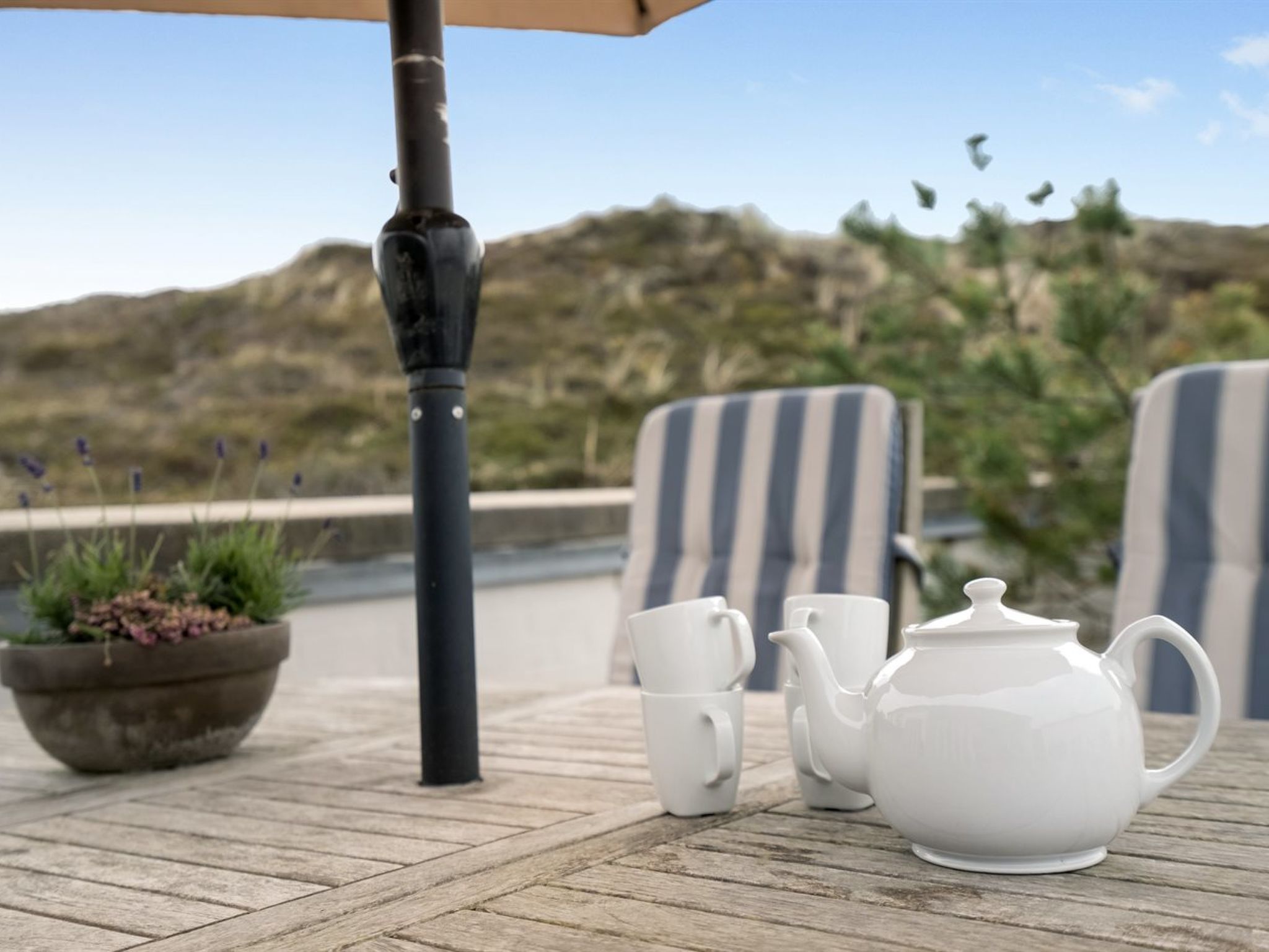 "Emiljan" - 400m from the sea — Terrace (4 of 26)