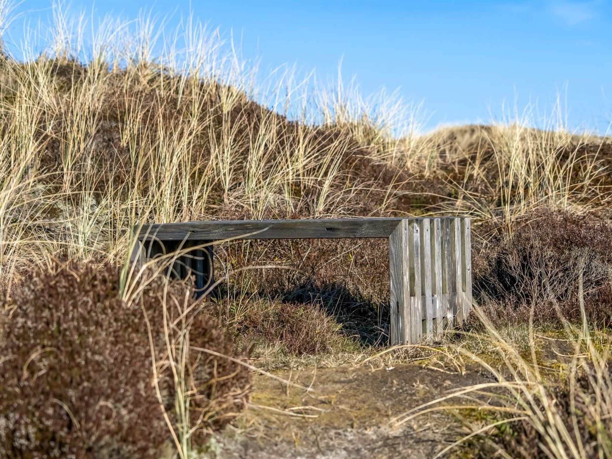 "Pauli" - 350m from the sea - Buiten