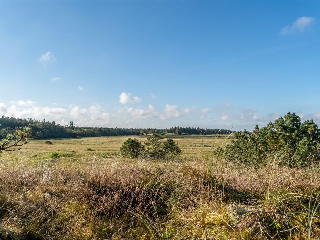 'Anneka' - 750m from the sea