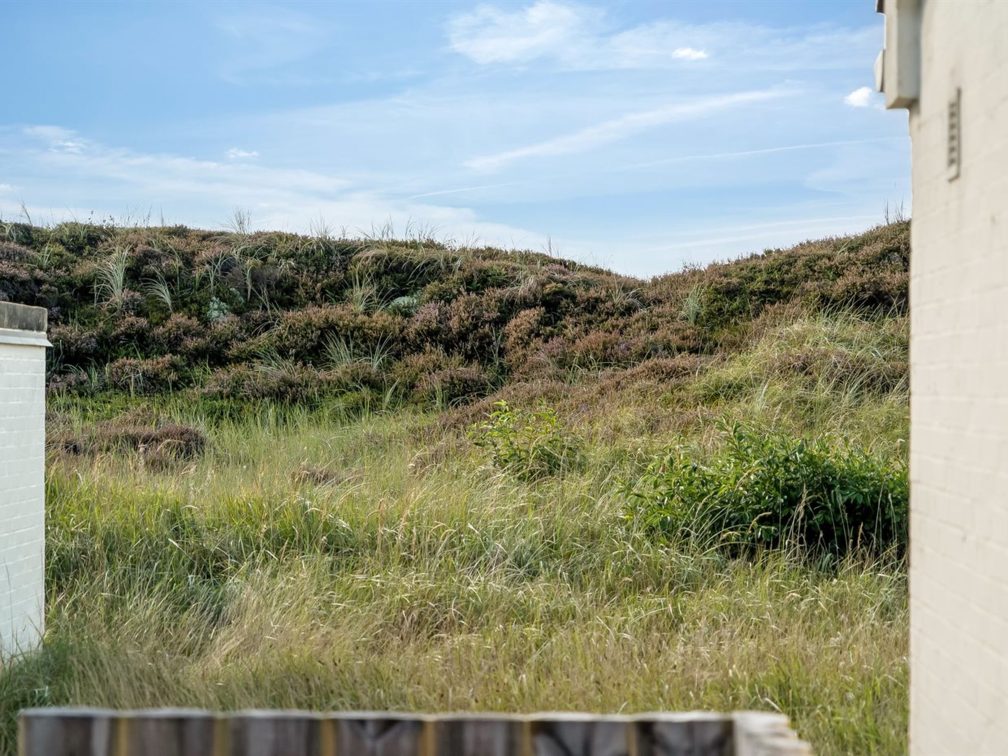 "Enwald" - 700m from the sea - Draußen