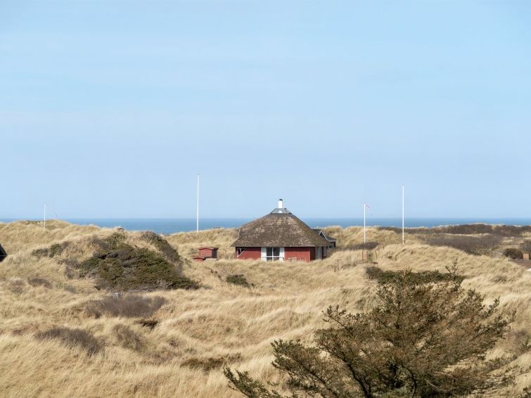 Photo of "Silvette" - 400m from the sea in NW Jutland