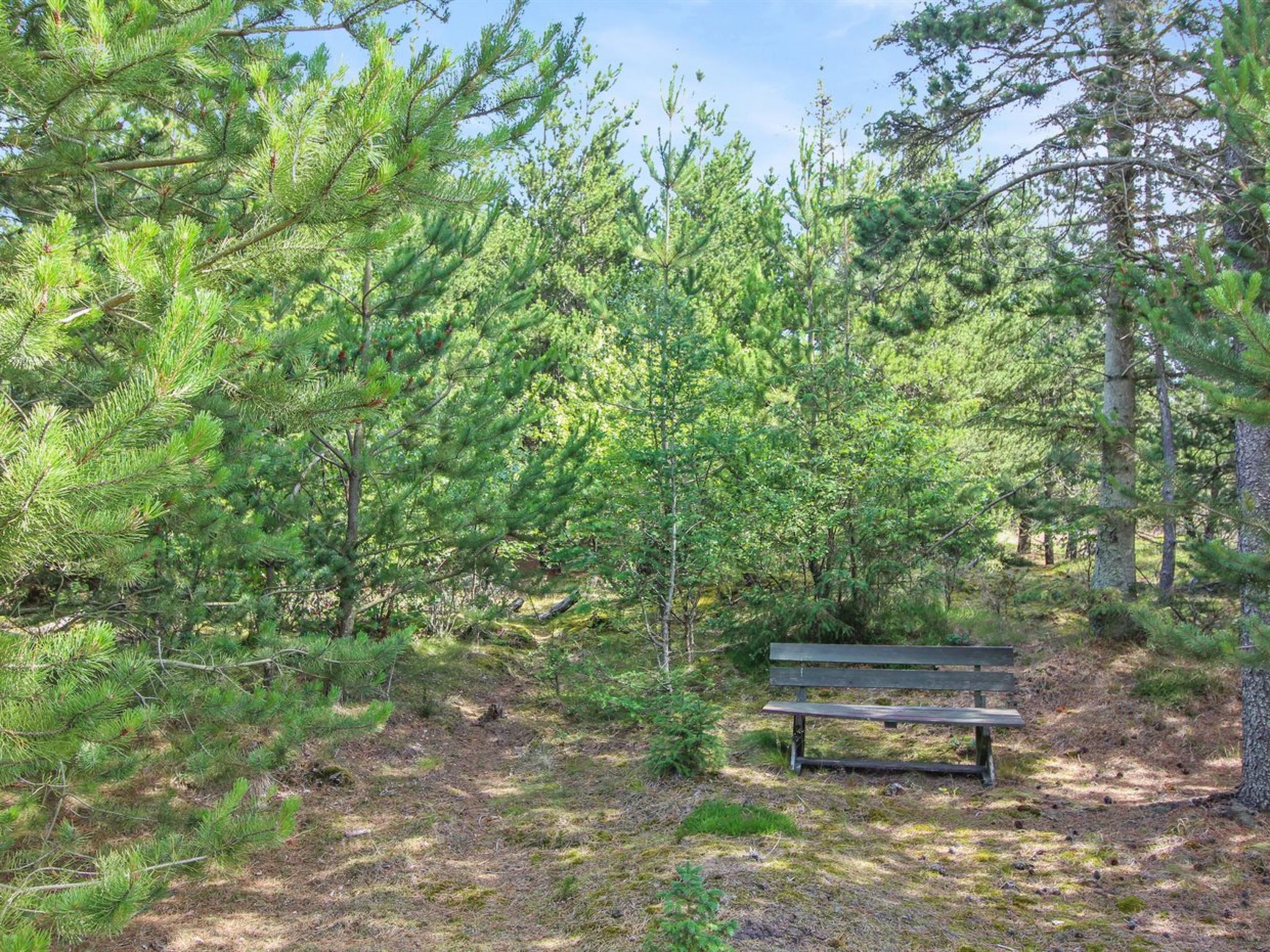 "Heike" - 1.3km from the sea - Buiten