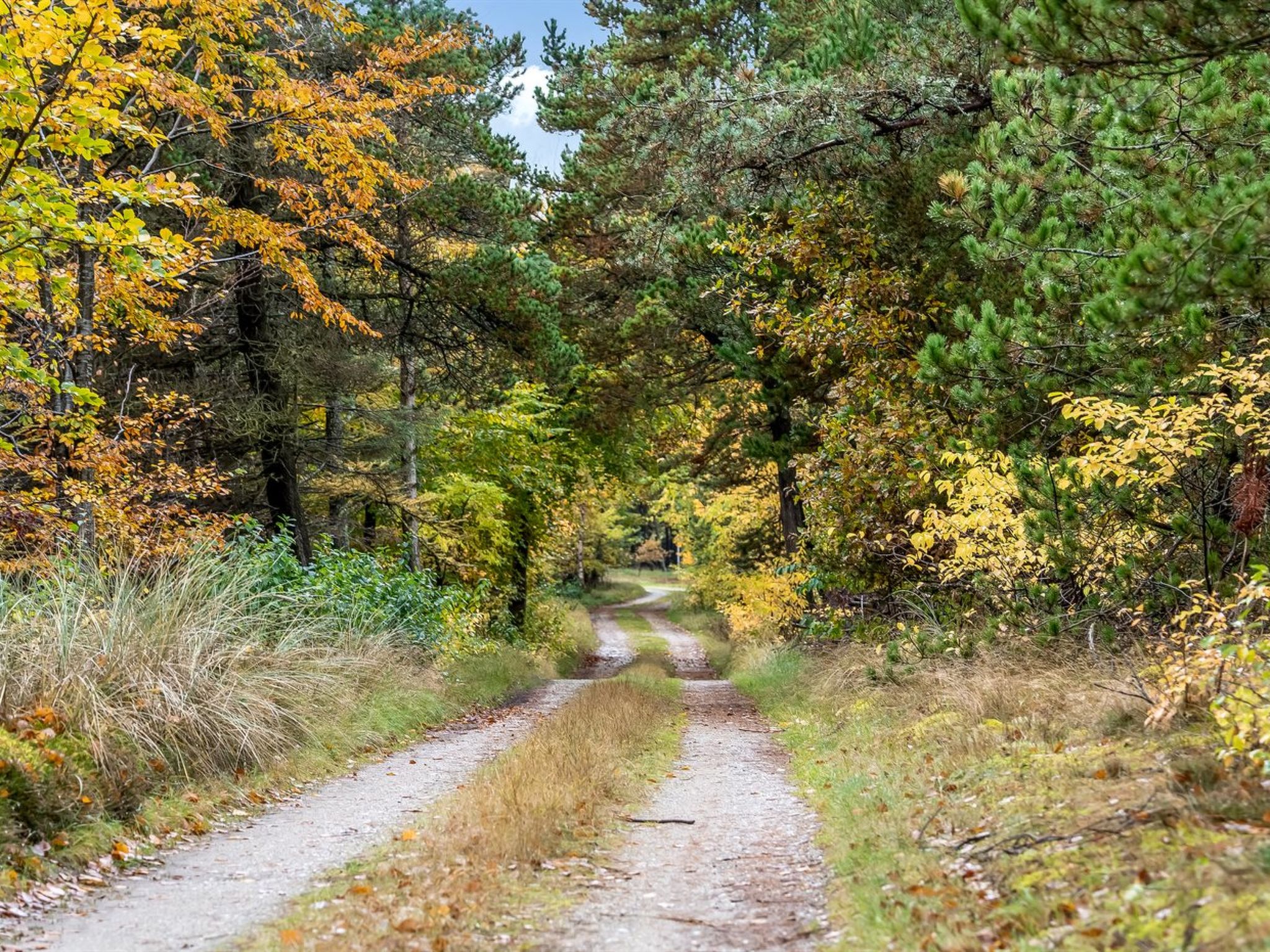 "Eimi" - 1.5km from the sea - Outside