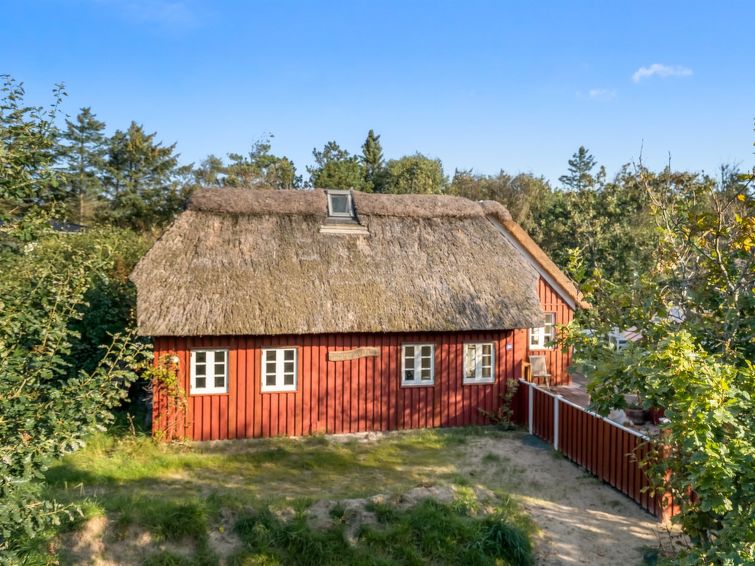 "Beghel" - 350m from the sea – Blokhus – Nordsee