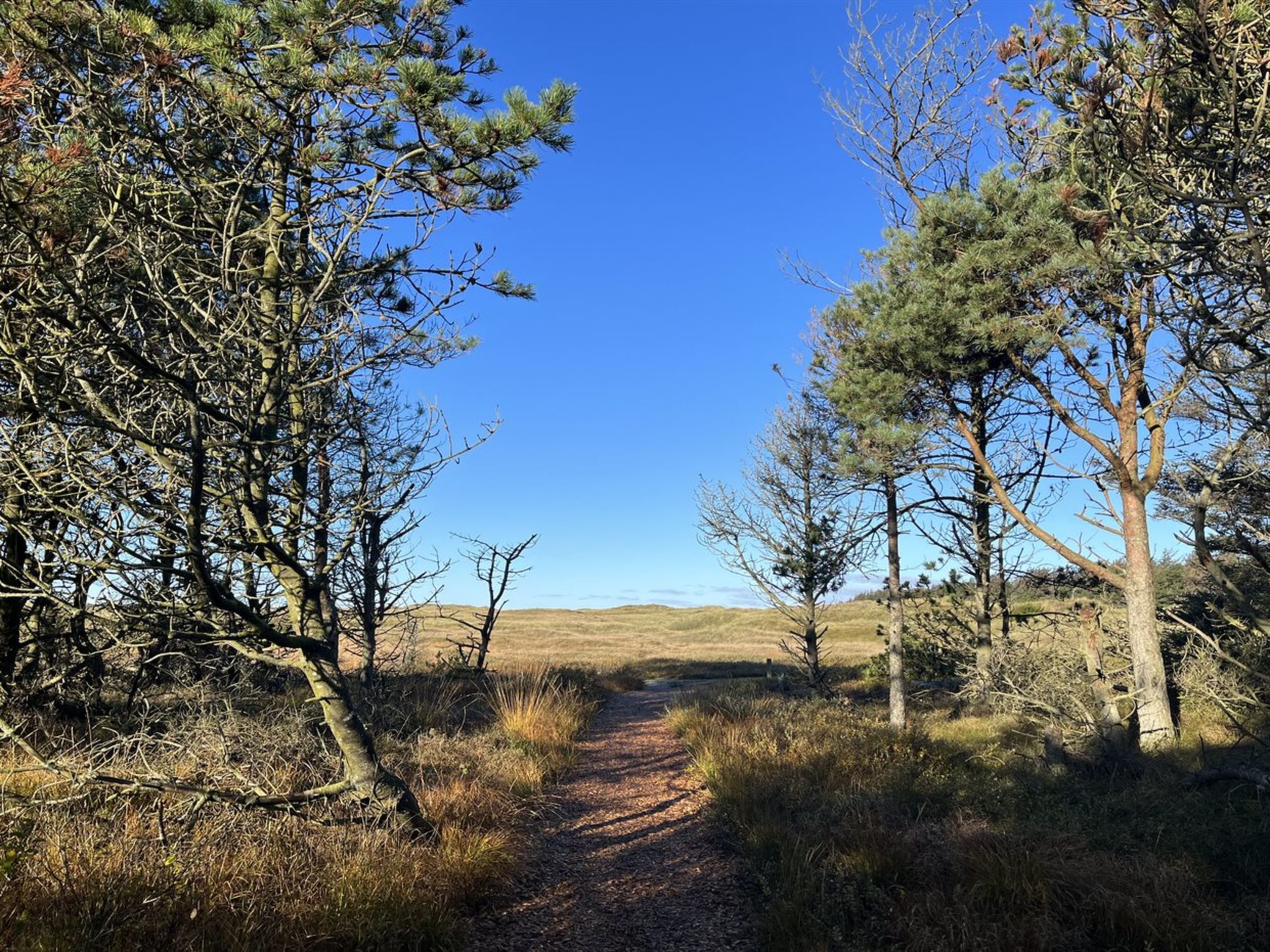 "Nilson" - 1.4km from the sea - Buiten