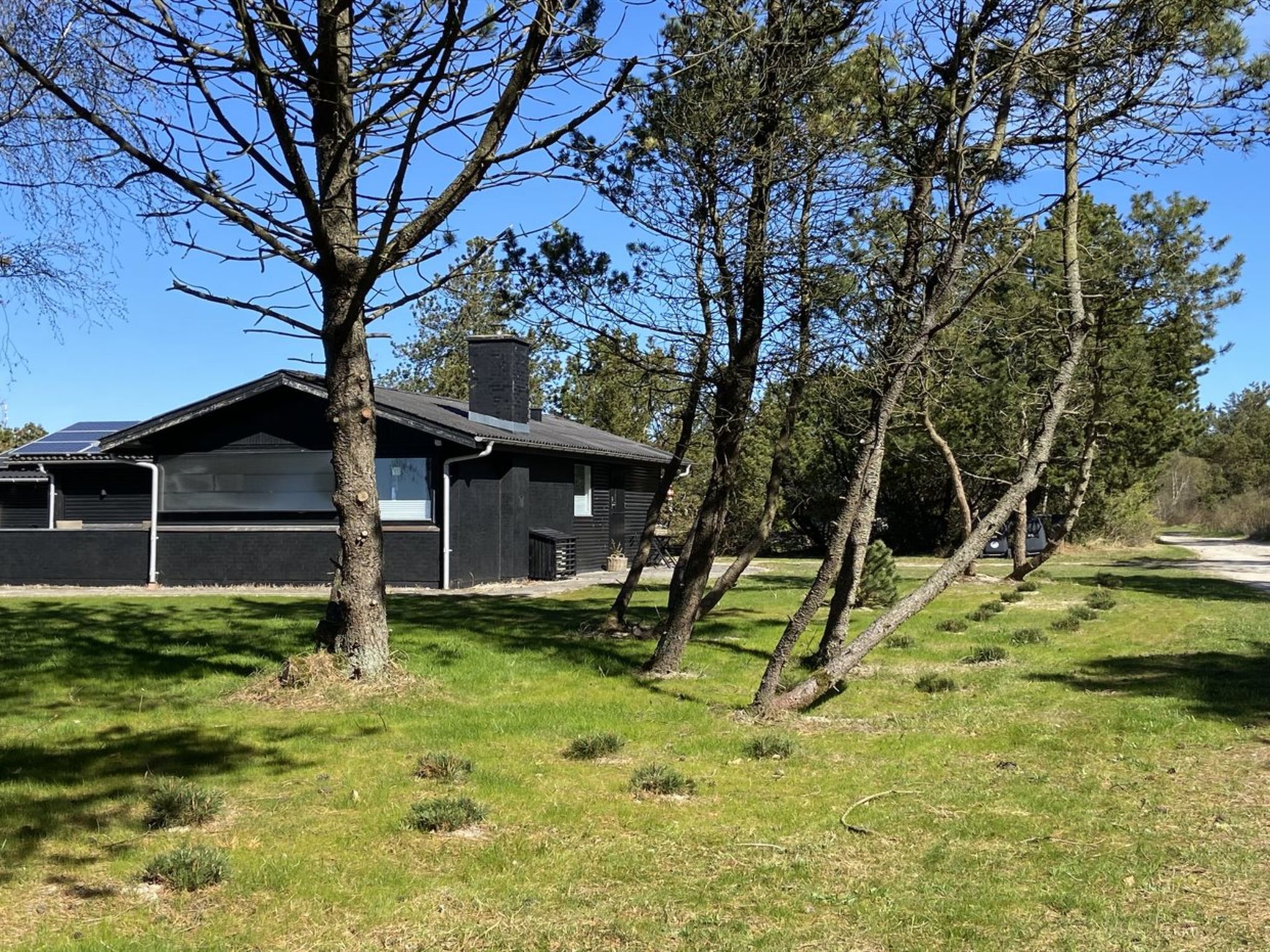 "Barba" - 2km from the sea