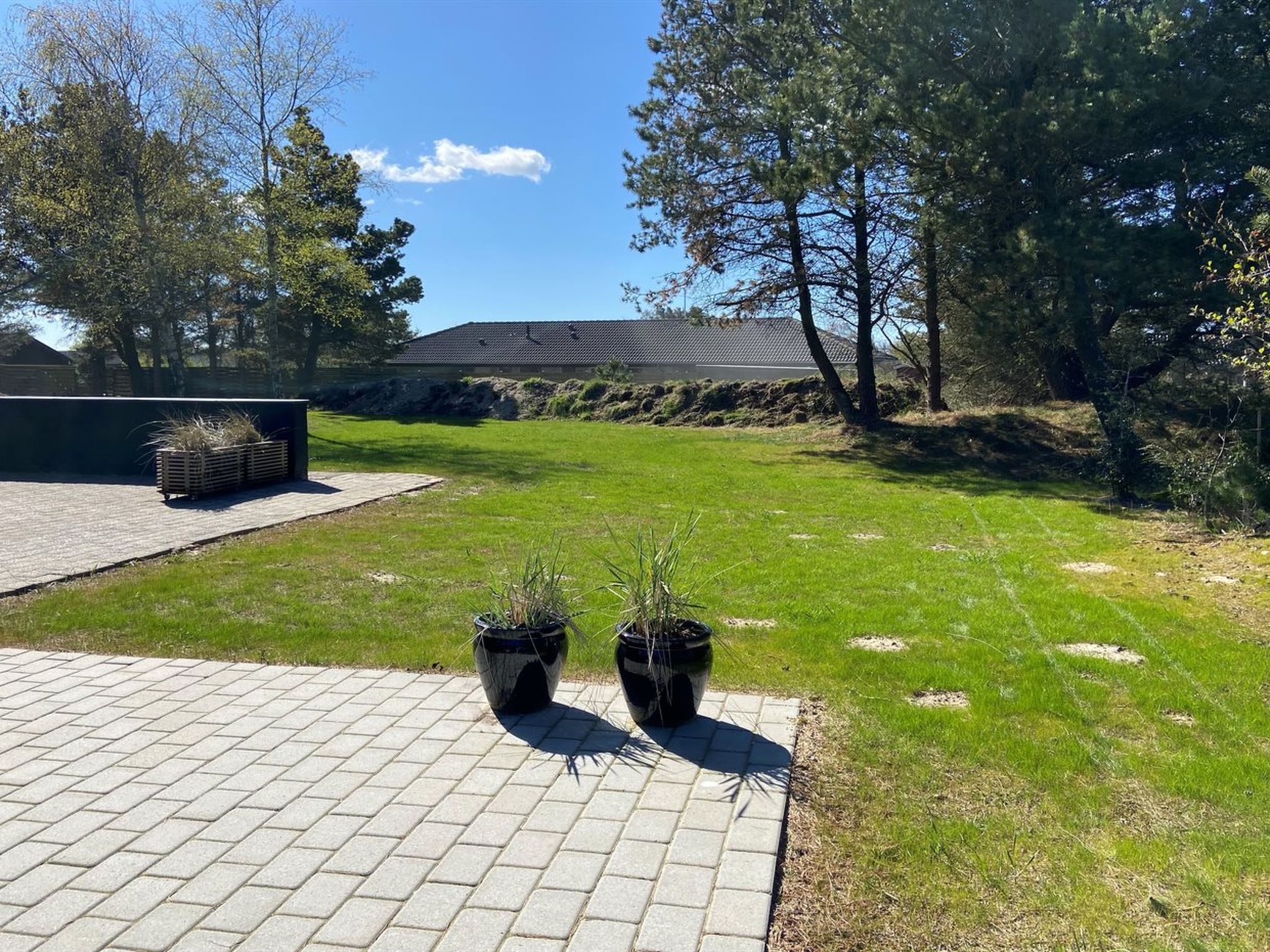 "Barba" - 2km from the sea