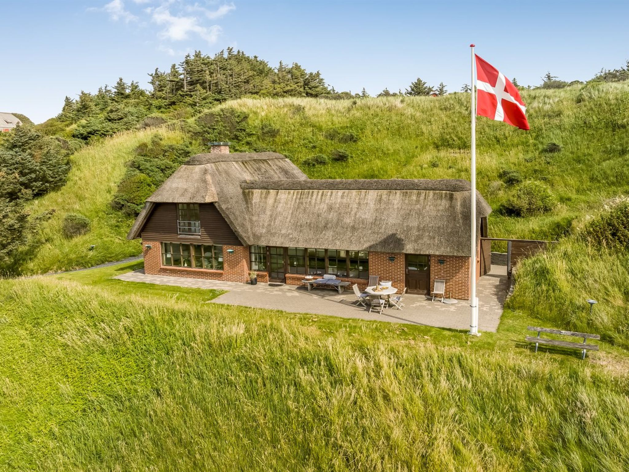 Photo of "Damiana" - 600m from the sea