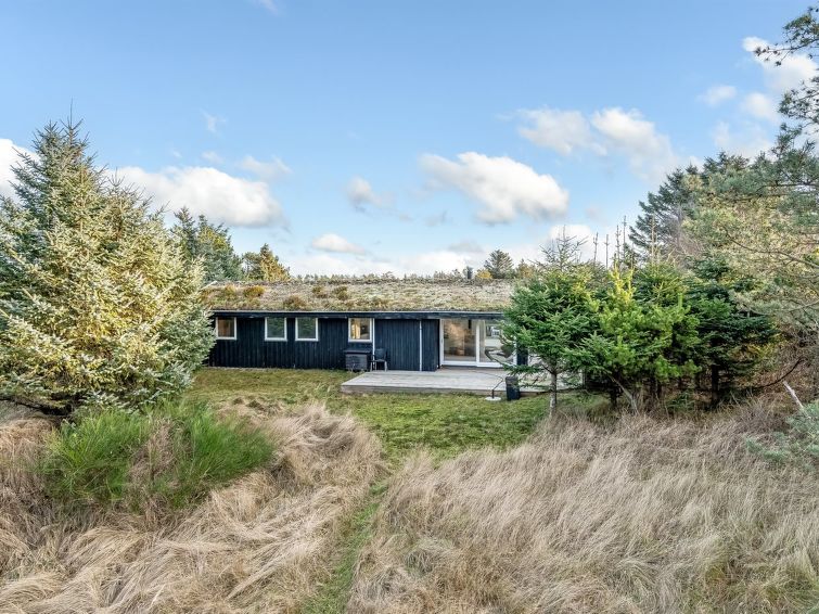 "Baldo" - 800m from the sea – Blokhus – Nordsee