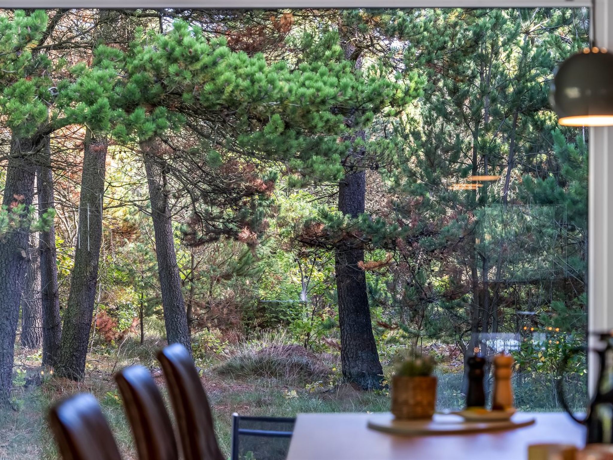 "Hansa" - 3km from the sea - Drinnen