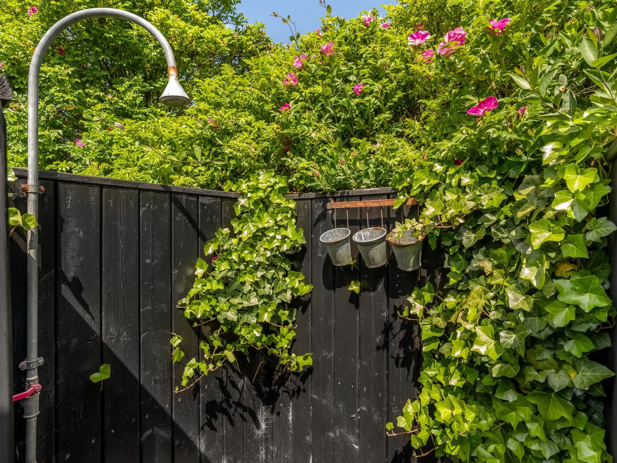 "Annemone" - 900m from the sea-Outside