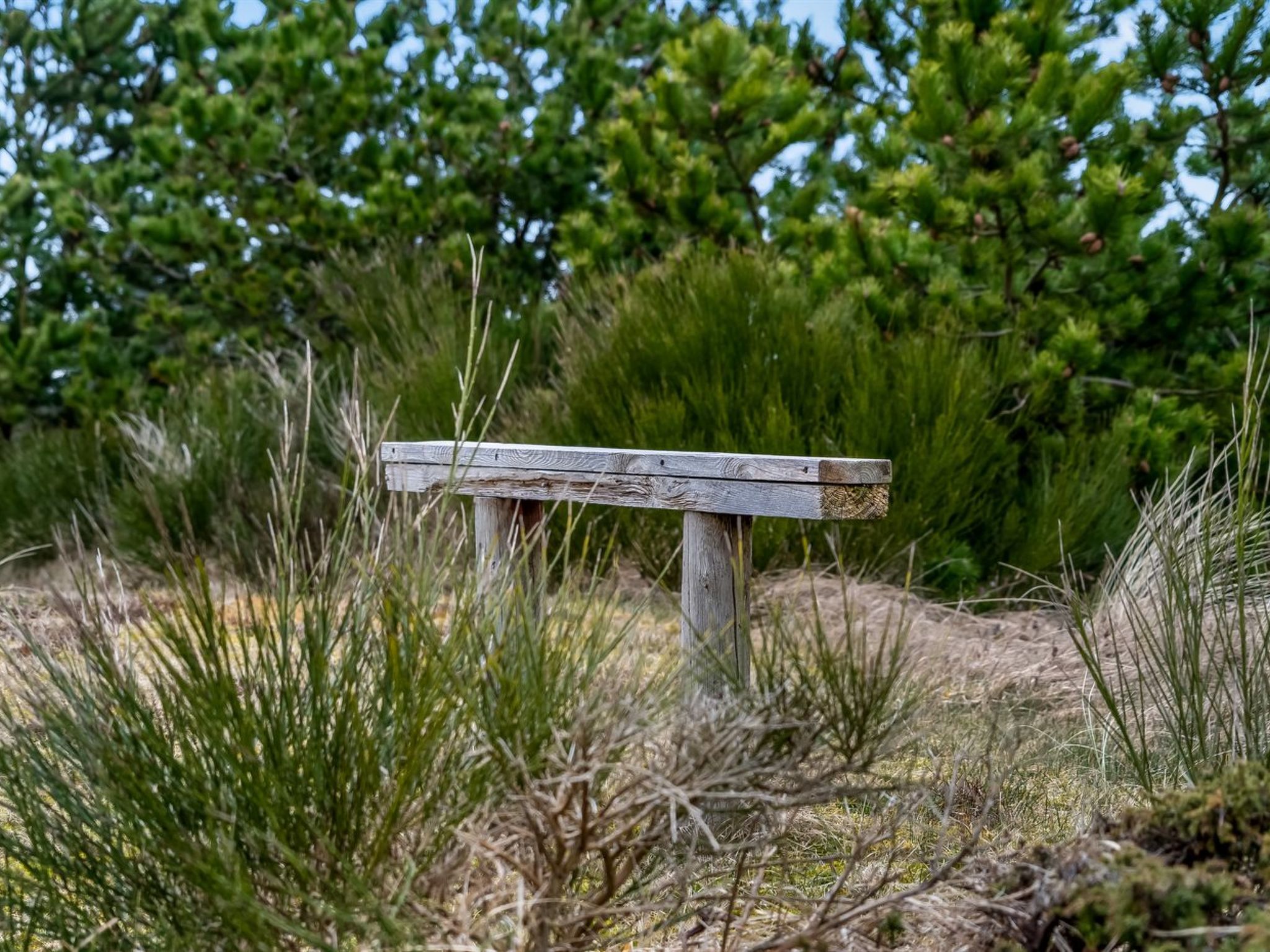 "Godja" - 1km from the sea - Buiten